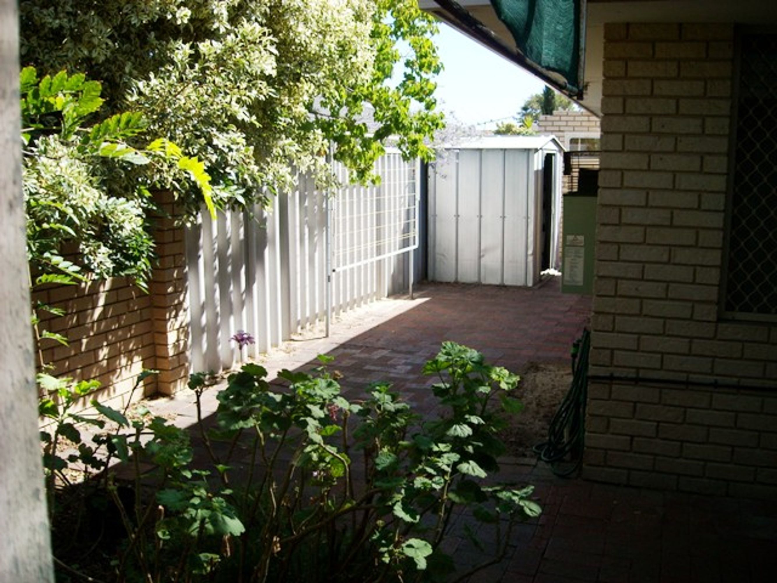 47 Wattle Street, Tuart Hill, WA 6060, Tuart Hill - Thumbnail 6
