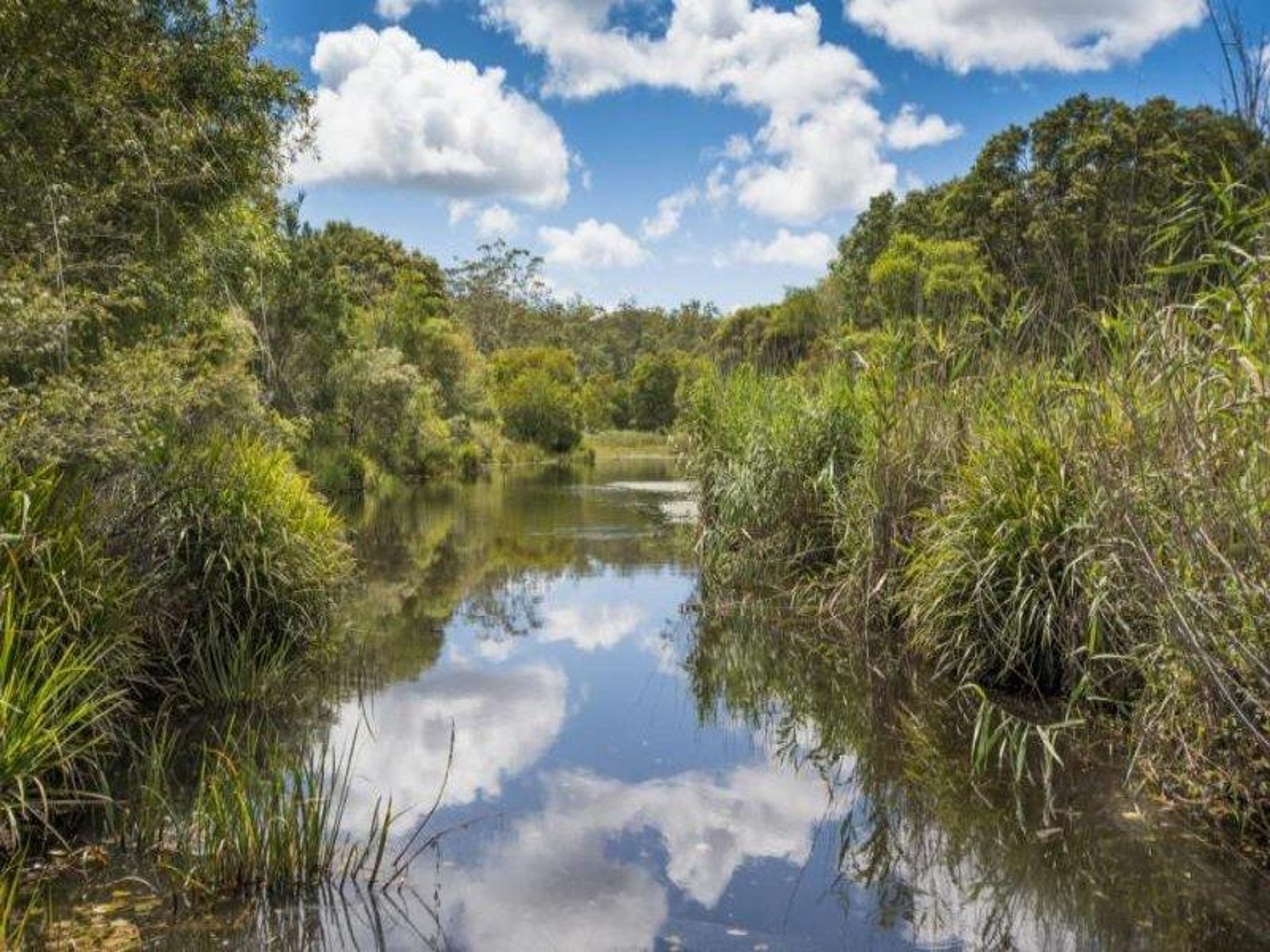 Lot 980 Firth Heinz Road, Pillar Valley - Thumbnail 3