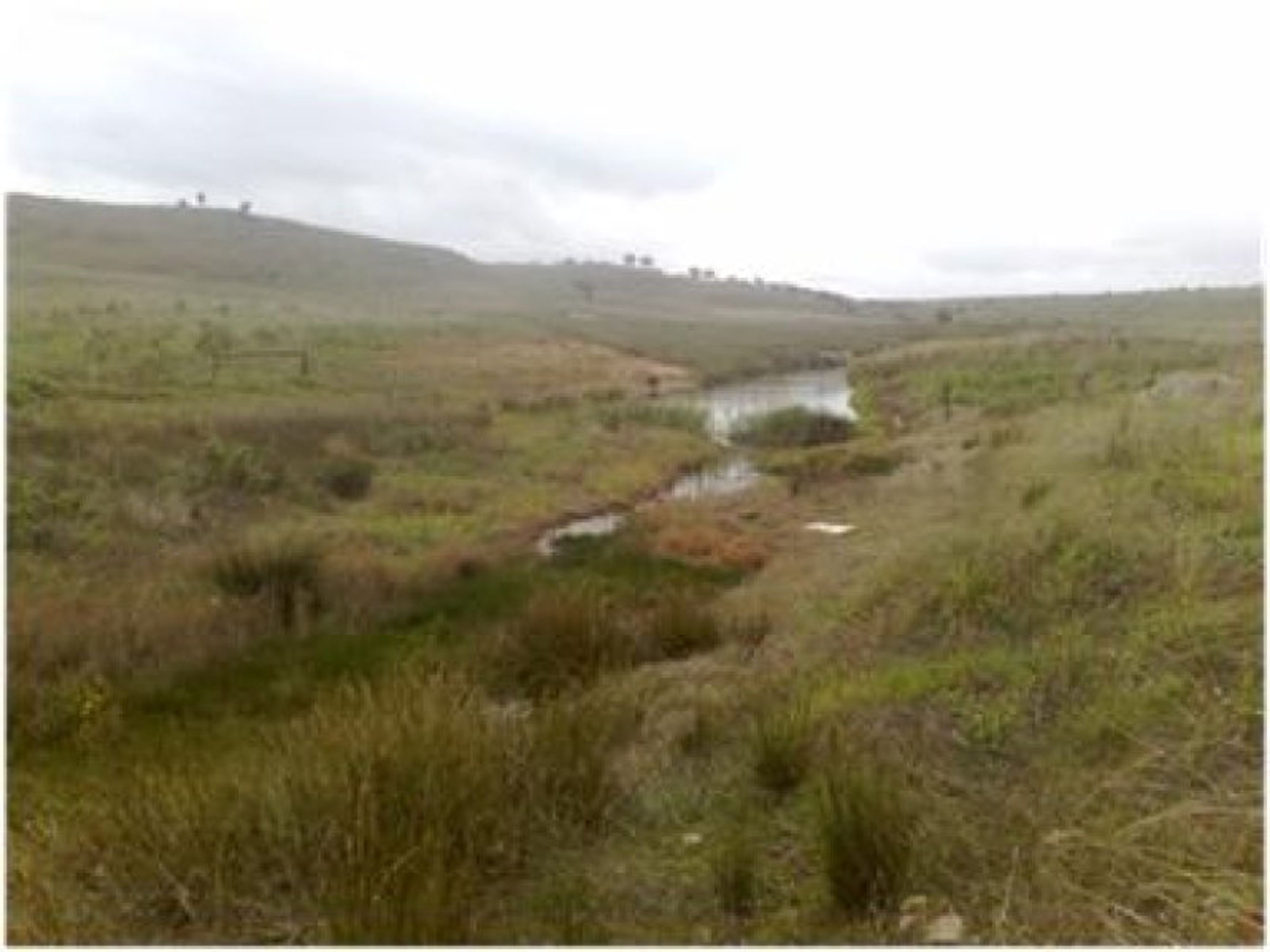 Lot 109 Rockleigh Road, Rockleigh SA 5254, Rockleigh - Thumbnail 3