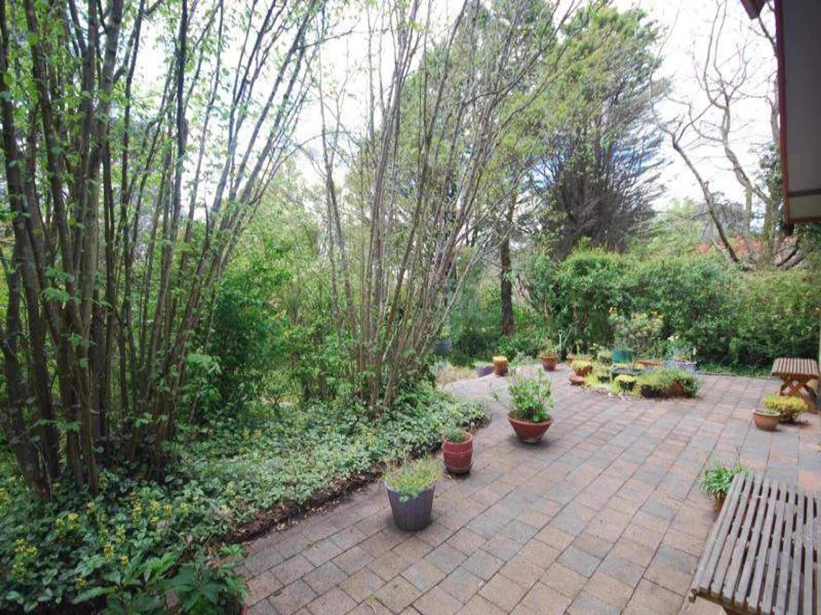 15 West St, Leura - Thumbnail 2
