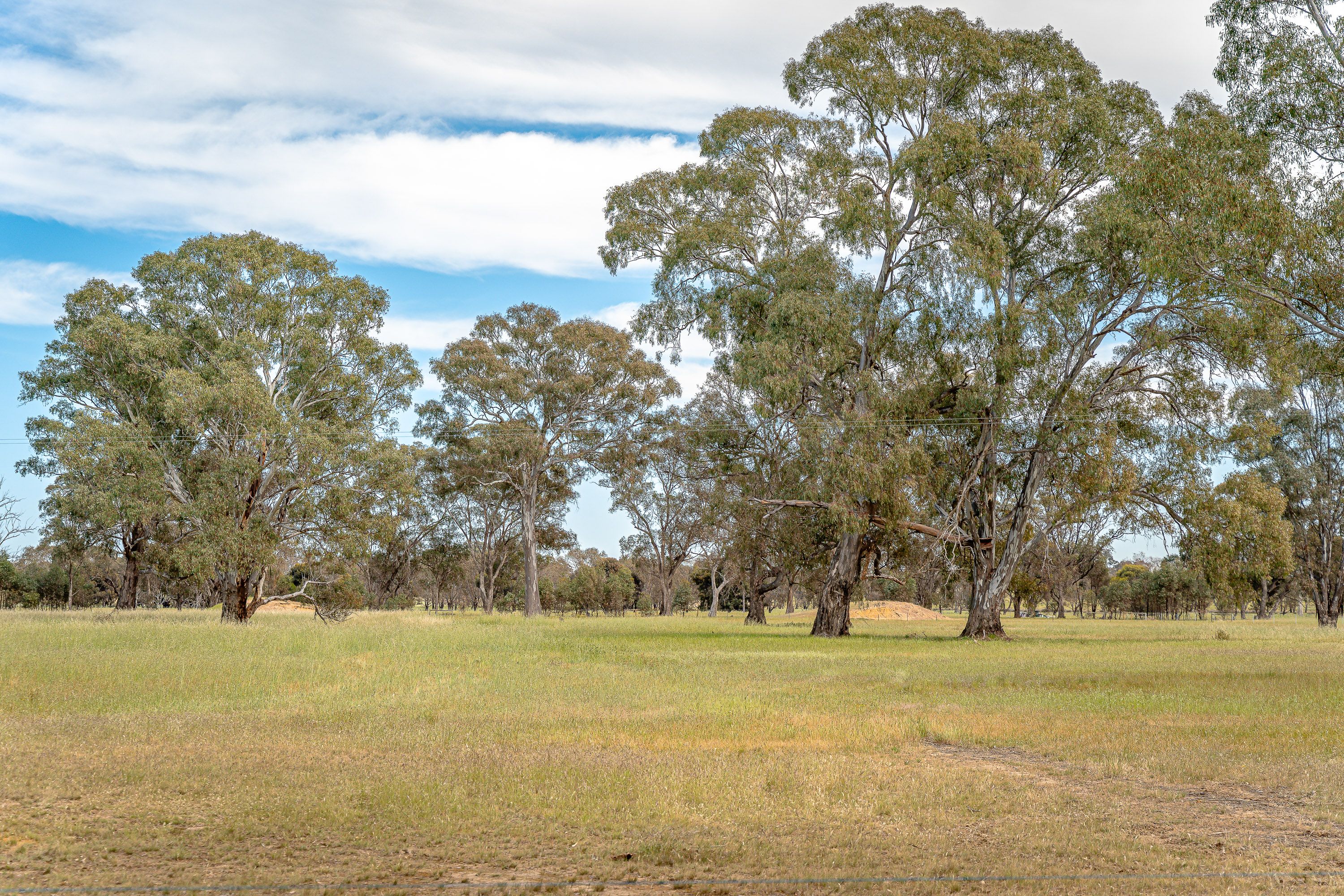 47 Rehes Lane, Goornong, Goornong - Thumbnail 7