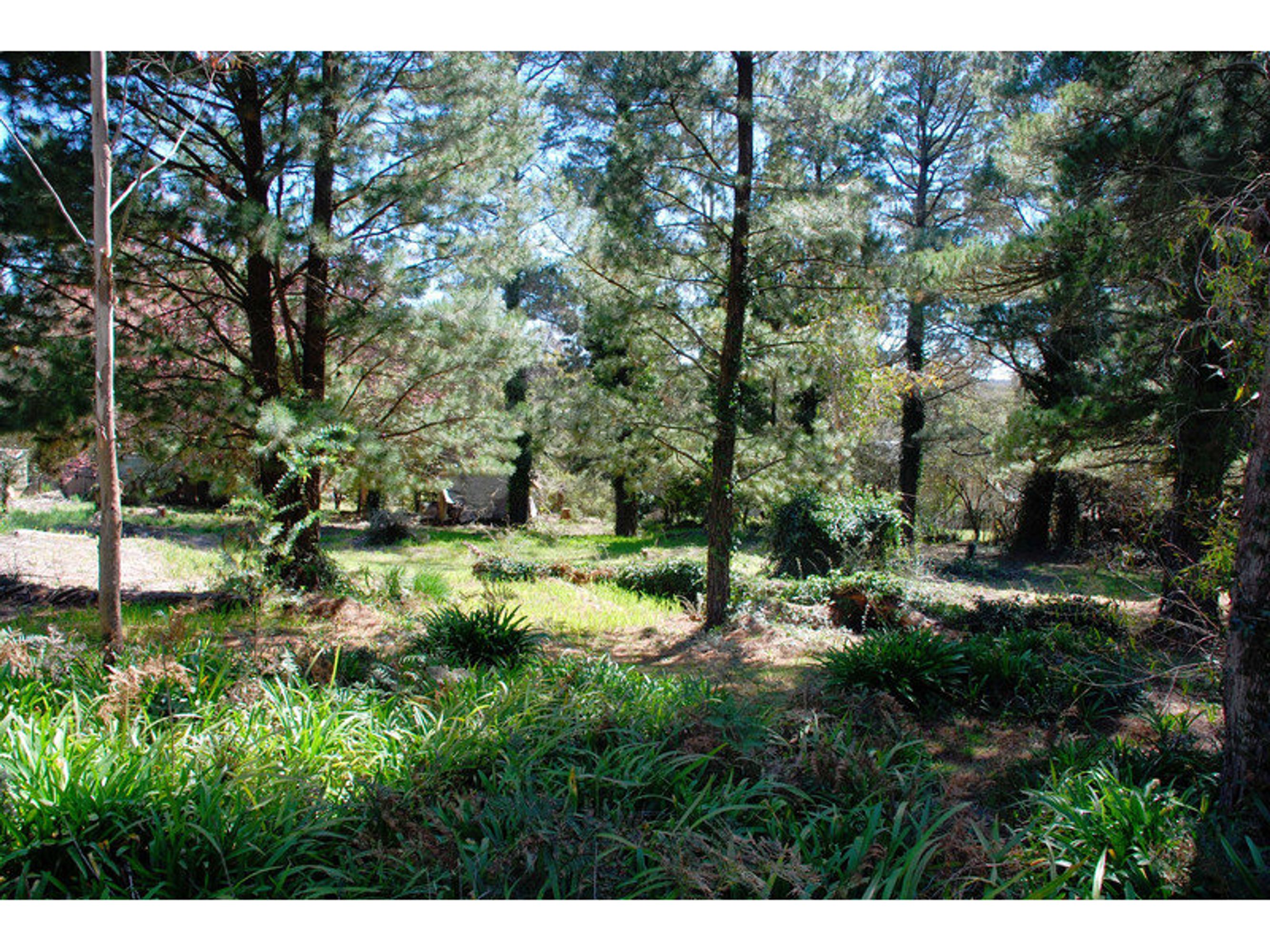 20 Seventh Avenue, Katoomba - Thumbnail 2