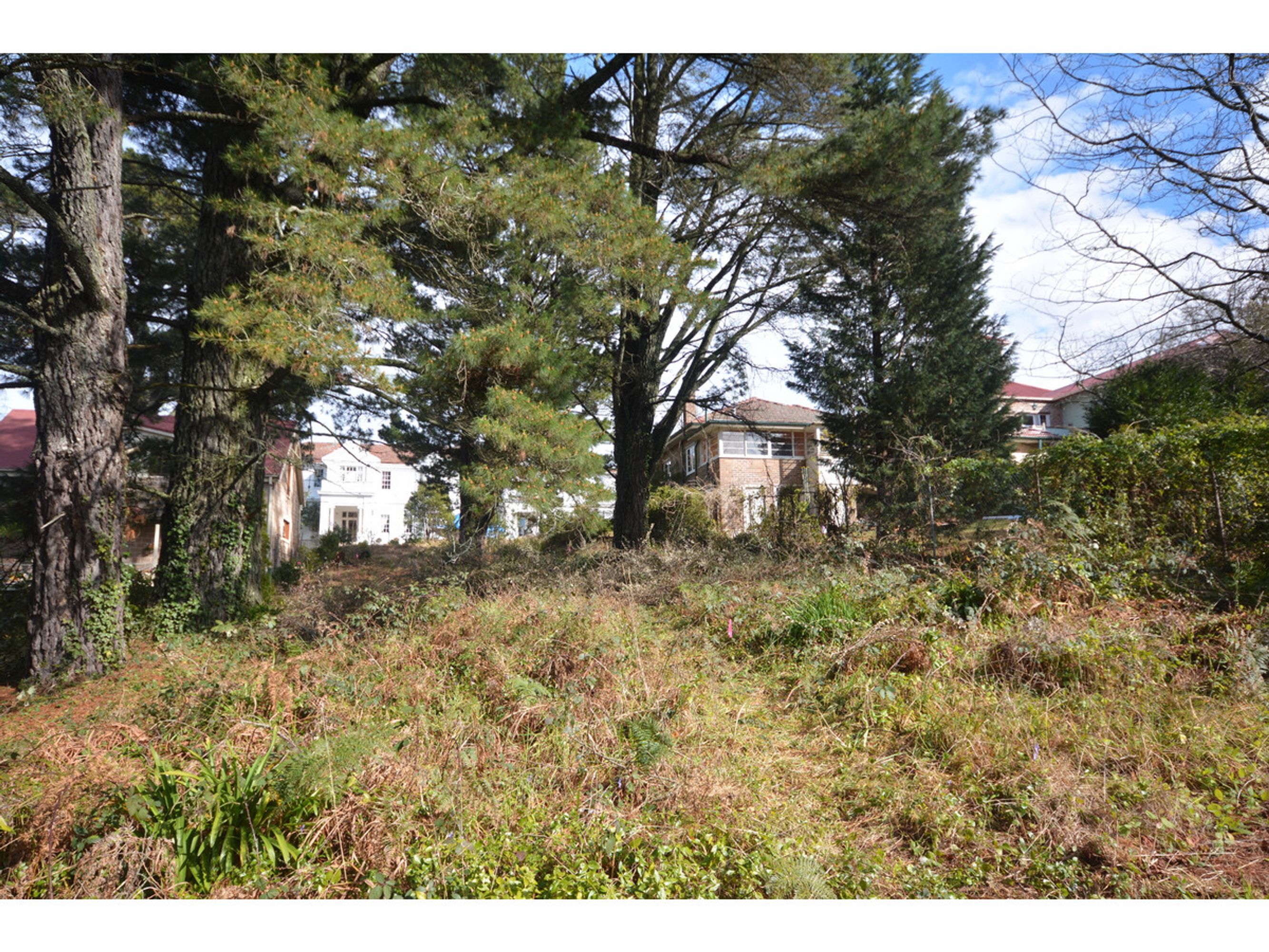 10 Abbotsford Road, Katoomba - Thumbnail 2