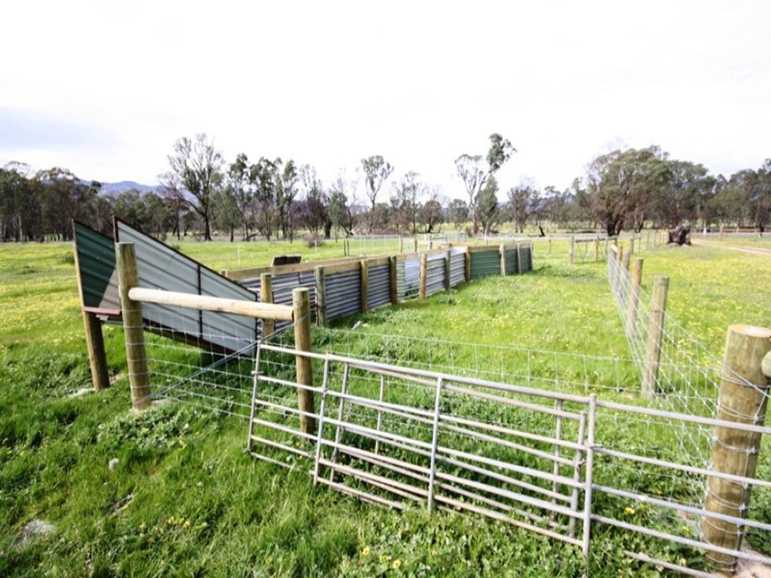 2484 Roses Gap Road, Wartook VIC 3401, Wartook - Thumbnail 7