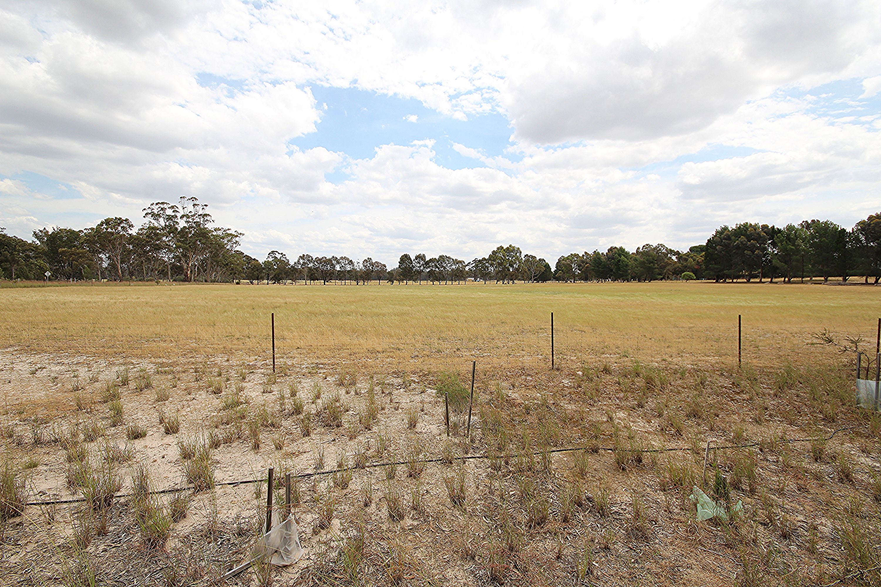 150 Hardinghams Road, Haven VIC 3401, Haven - Thumbnail 3
