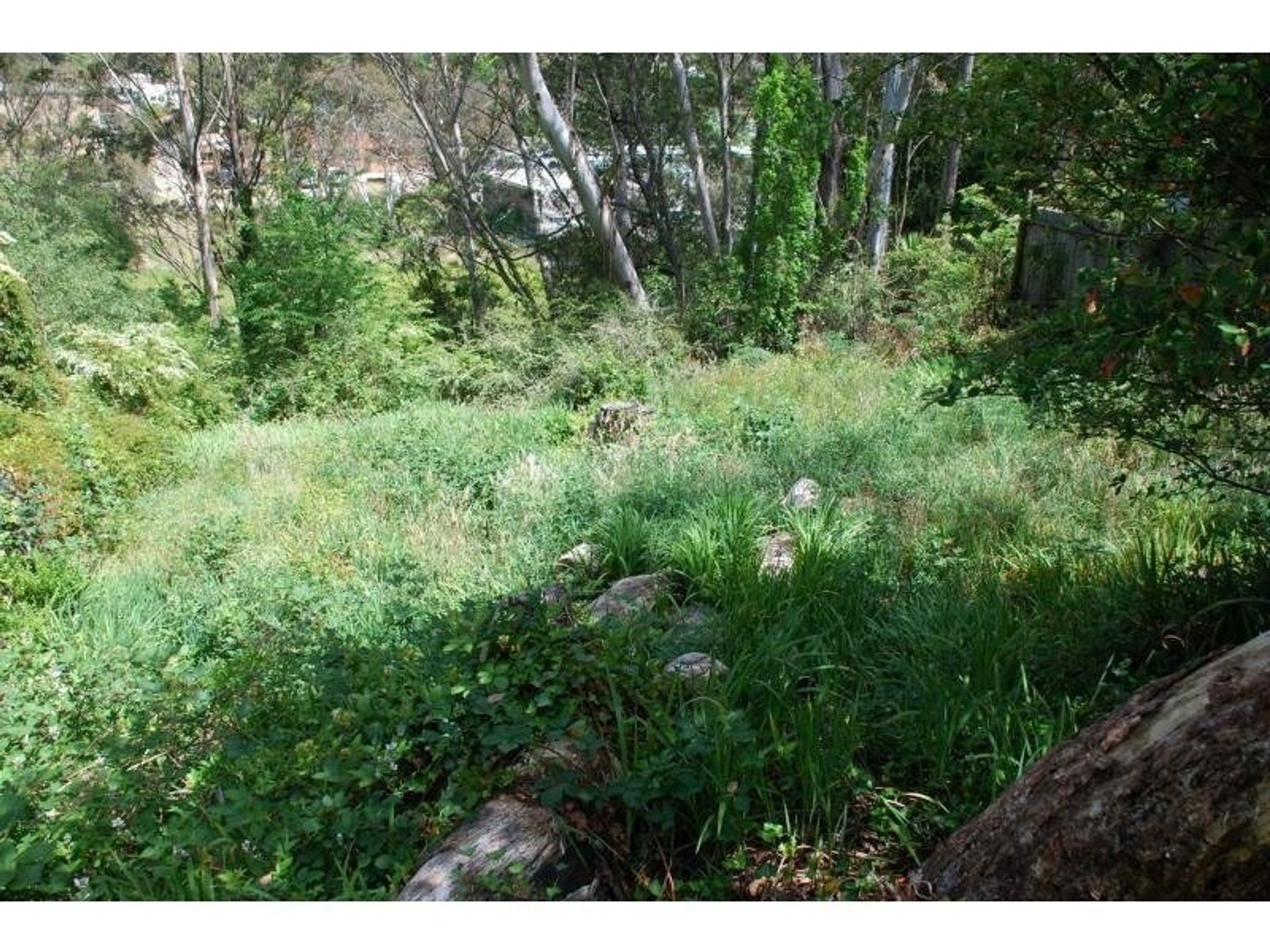 29 Freelander Avenue, Katoomba - Thumbnail 2