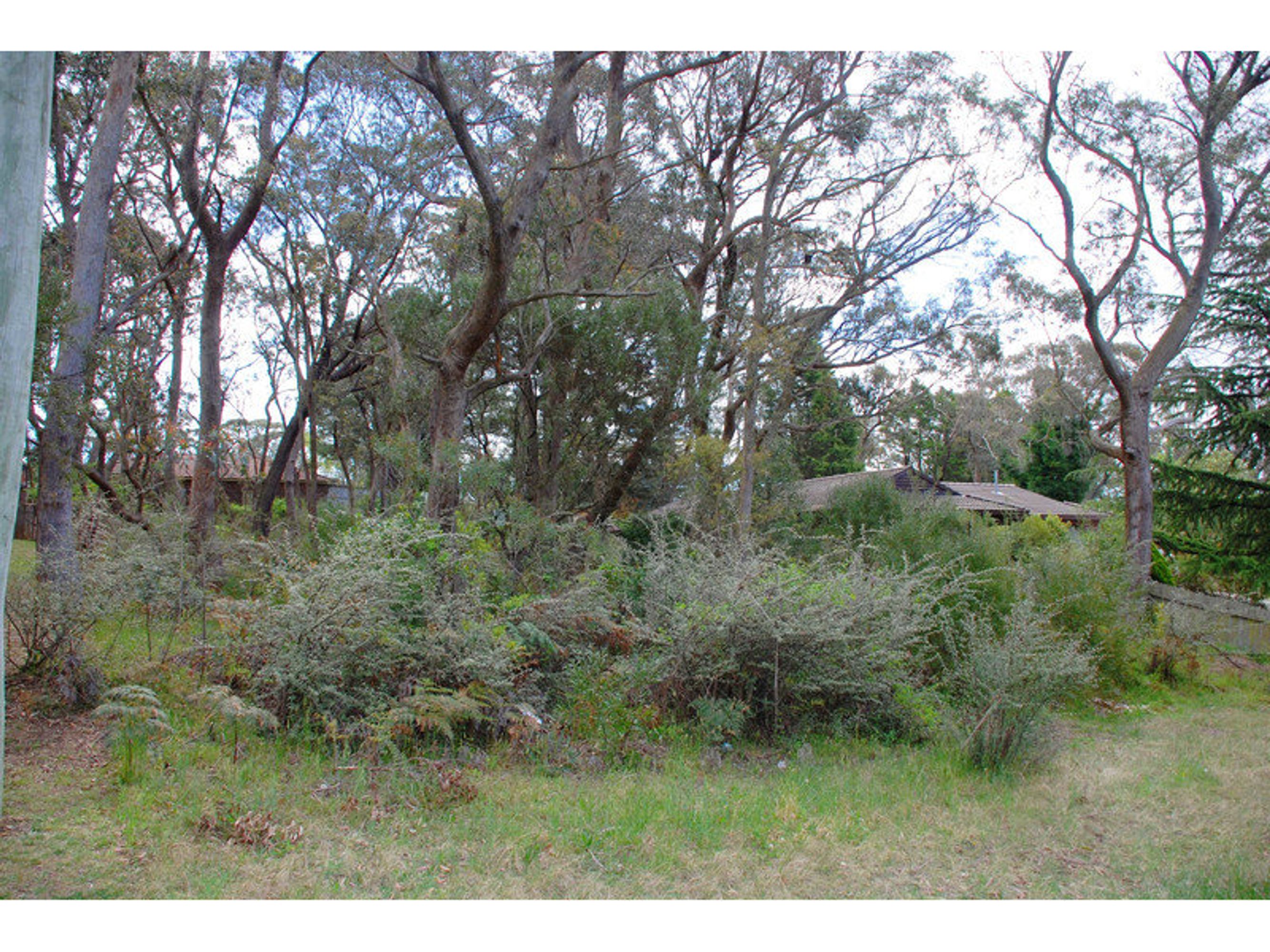 6 Third Avenue, Katoomba - Thumbnail 2
