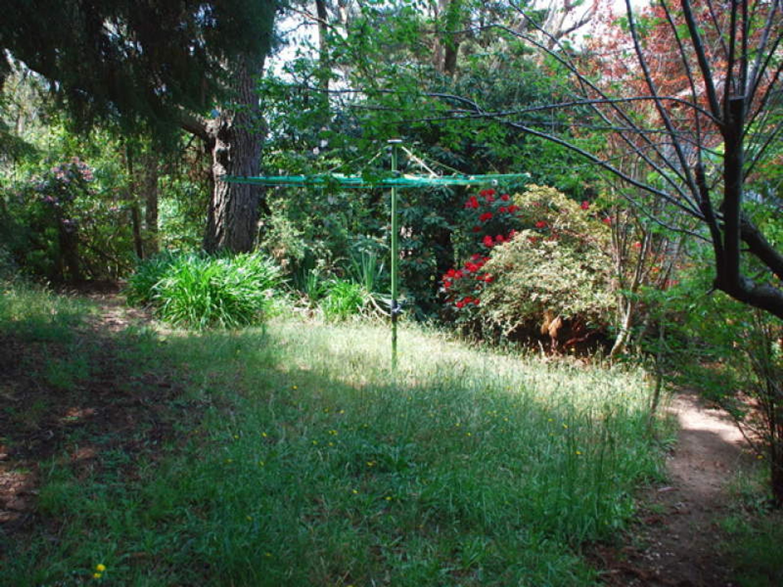 3 Showground Lane, Katoomba - Thumbnail 6