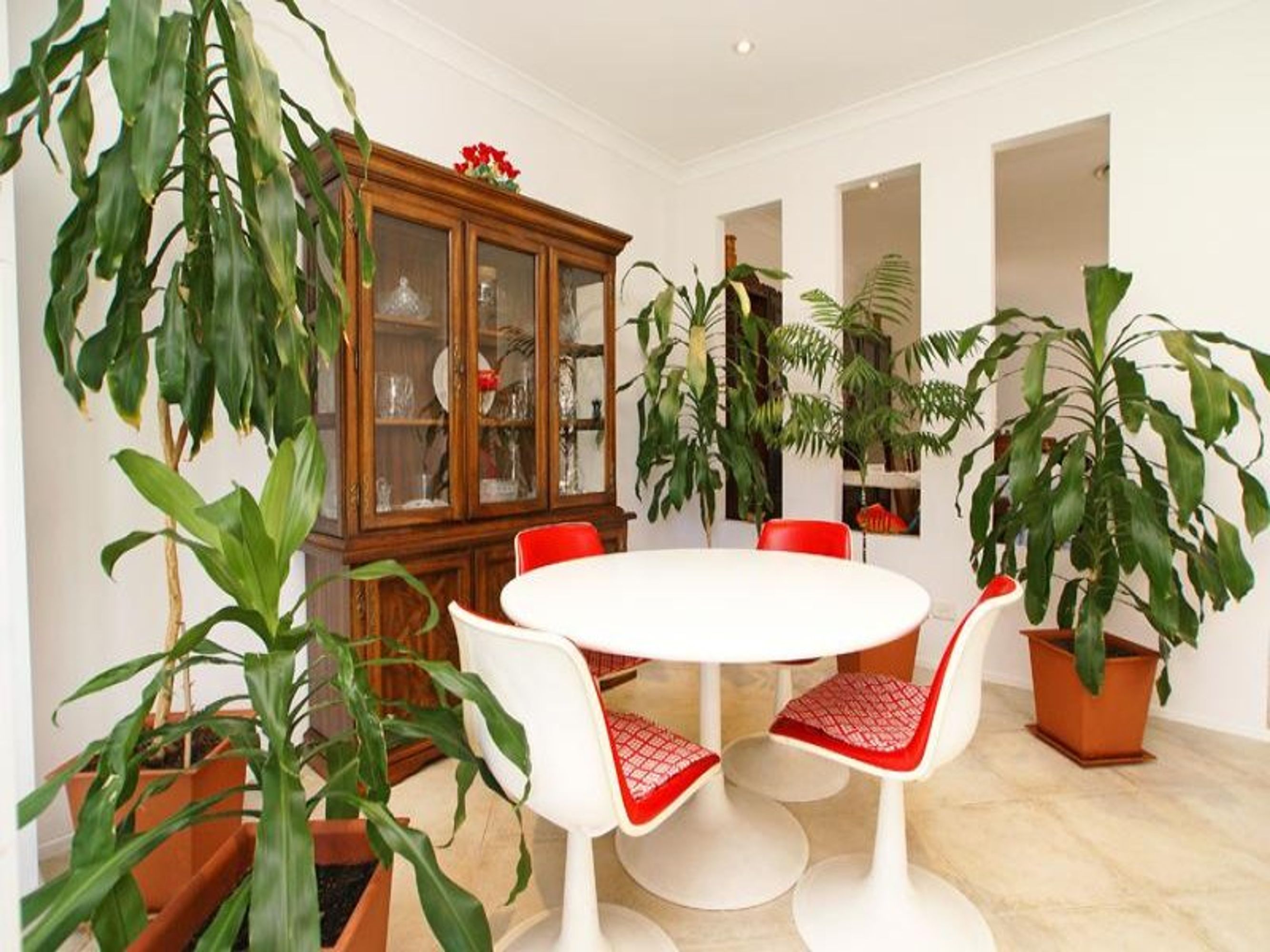 16 Augusta St, Punchbowl, Punchbowl - Thumbnail 2
