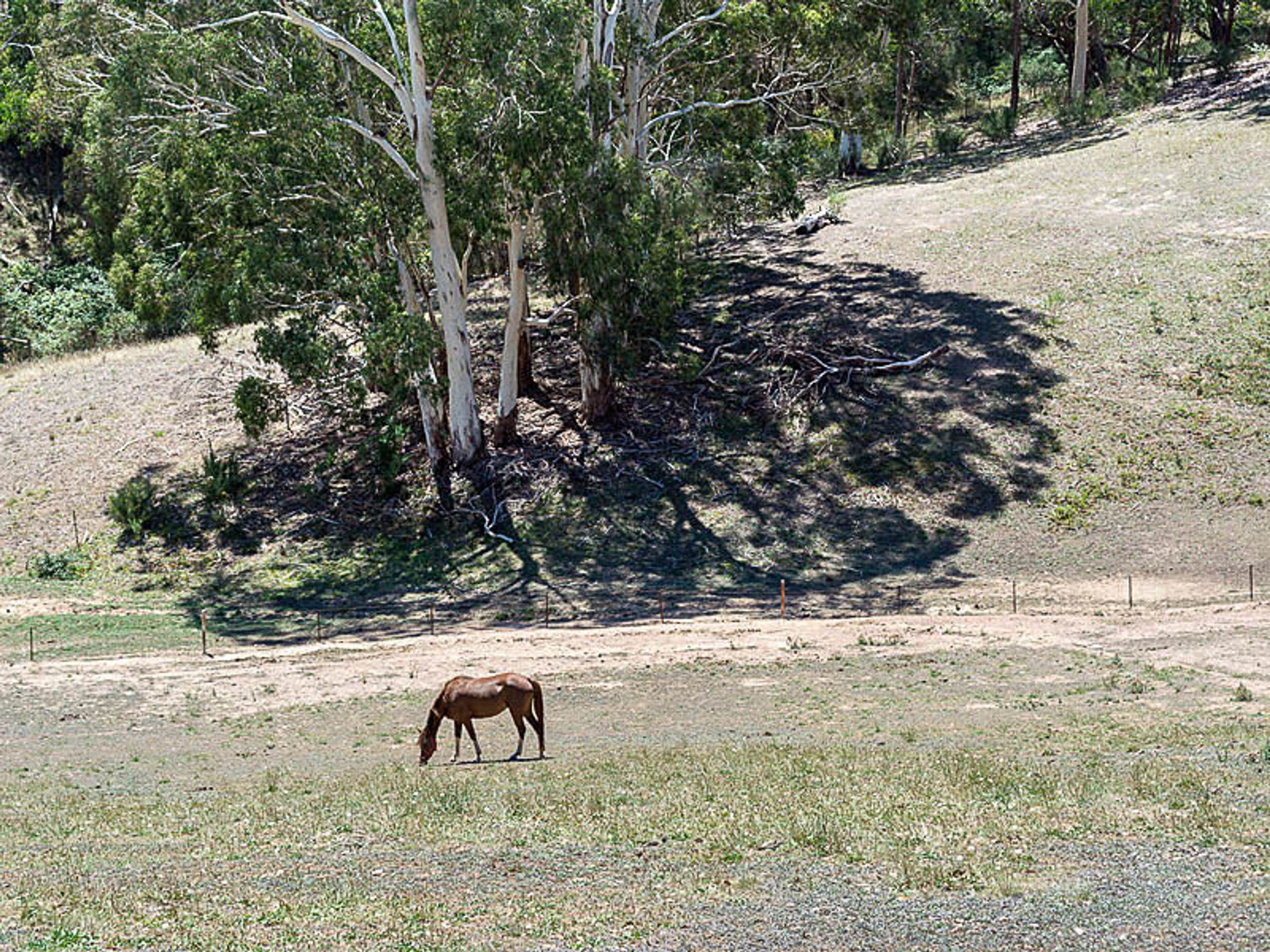 47 Debneys Road, Norton Summit, SA 5136, Norton Summit - Thumbnail 5