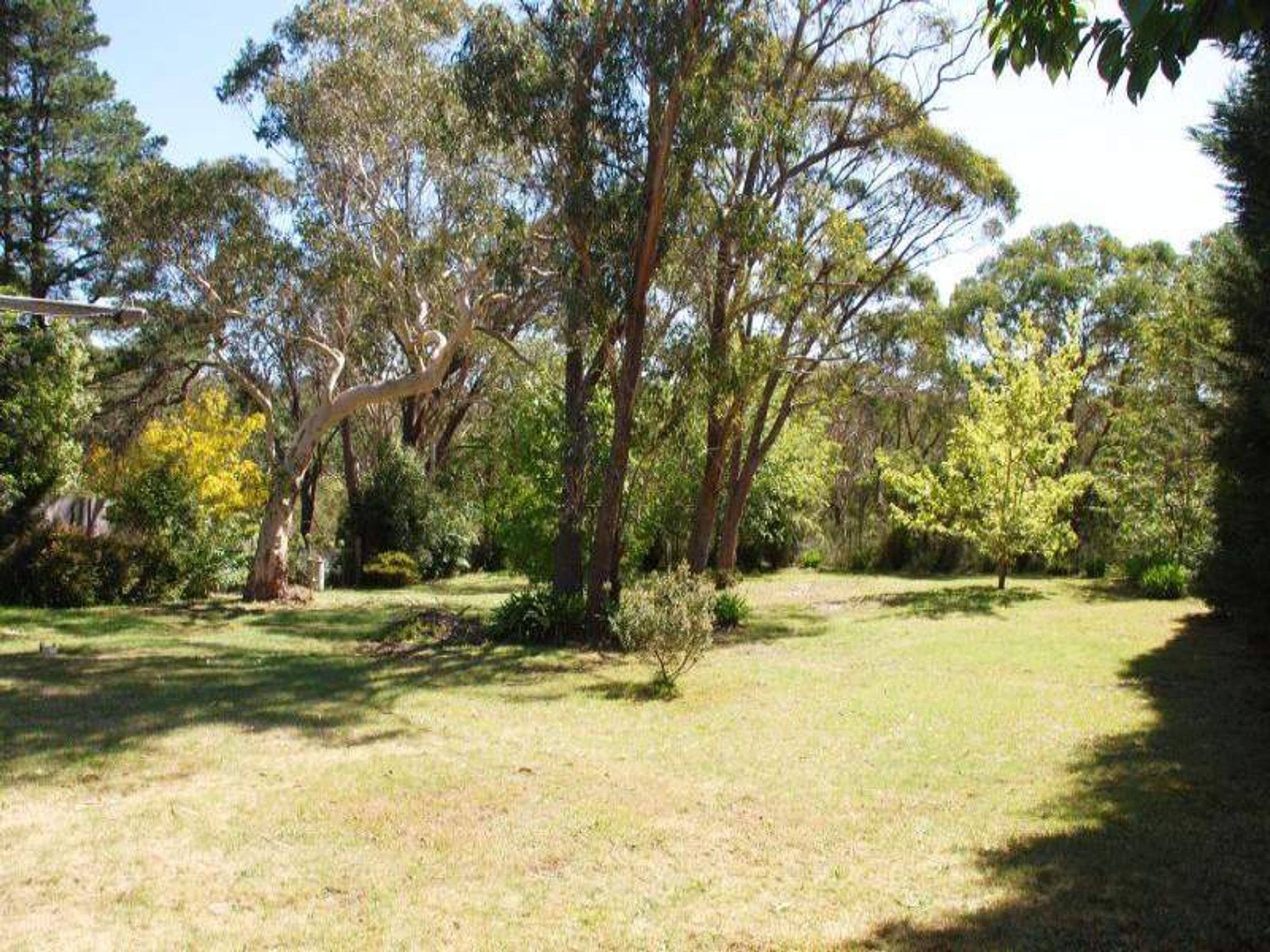 57 Jersey Ave, Leura - Thumbnail 2