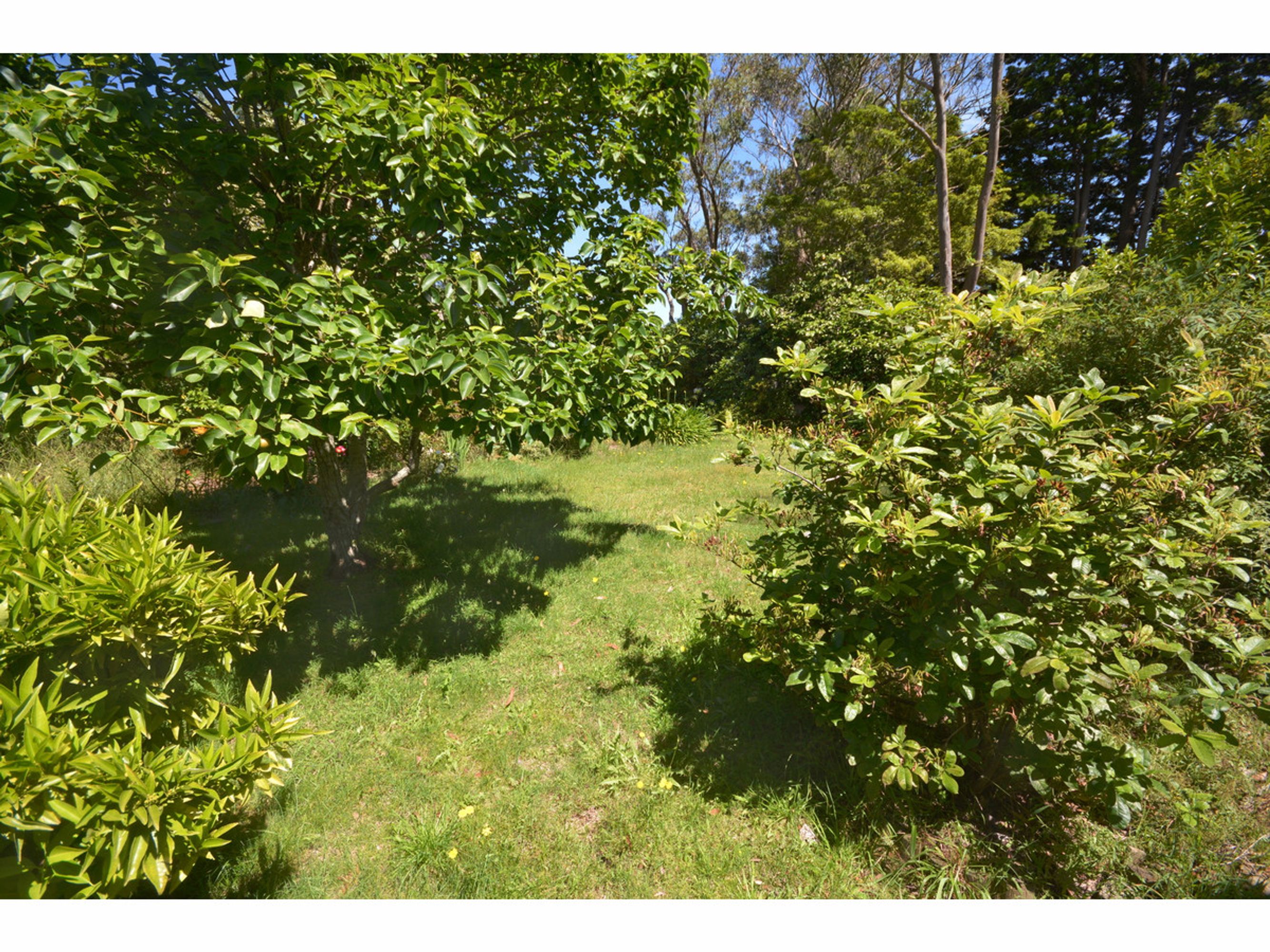 12 Woodlands Road, Katoomba - Thumbnail 4