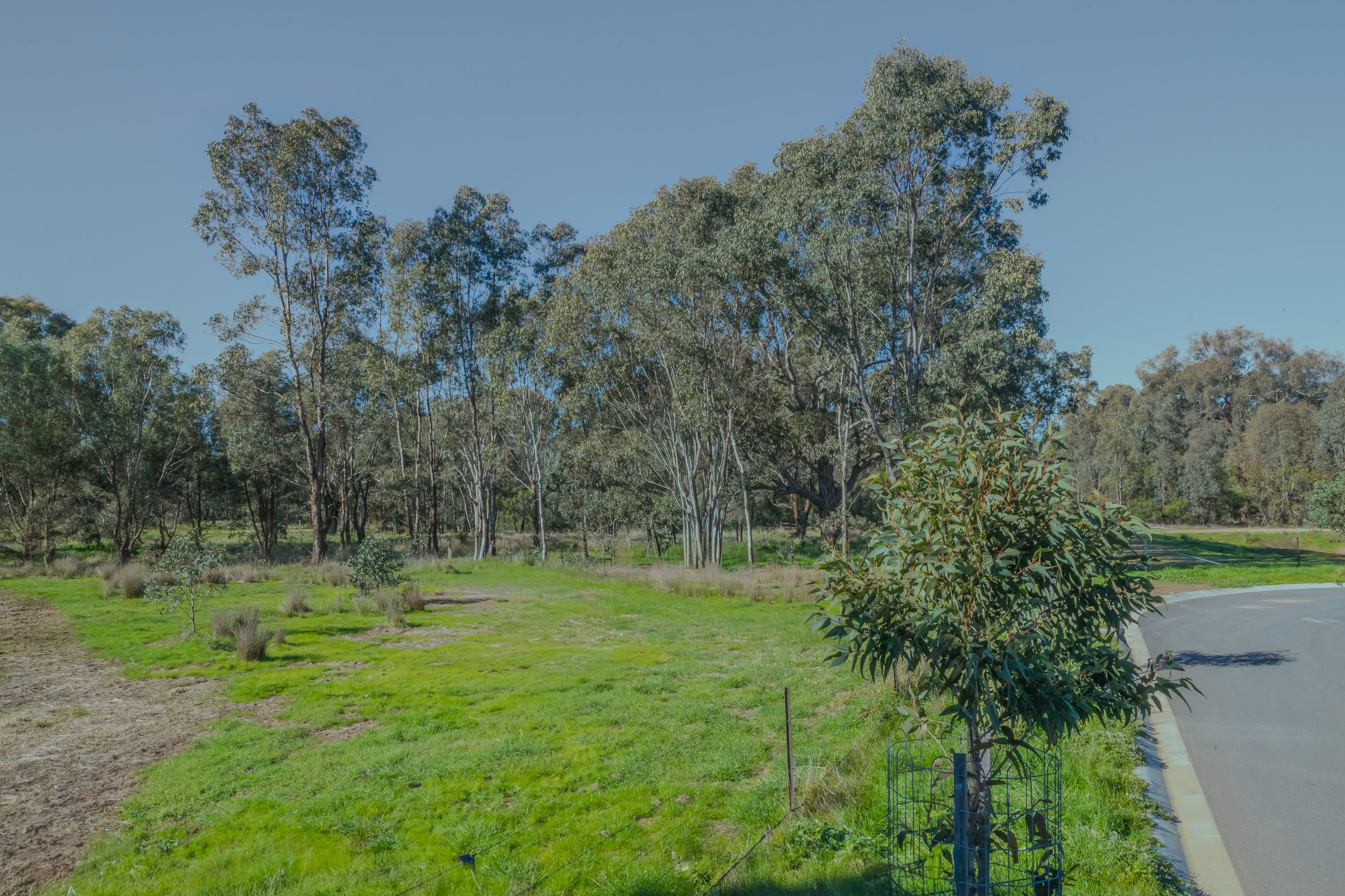 Lot 556 63 Huntington Grove, Thurgoona - Image 1