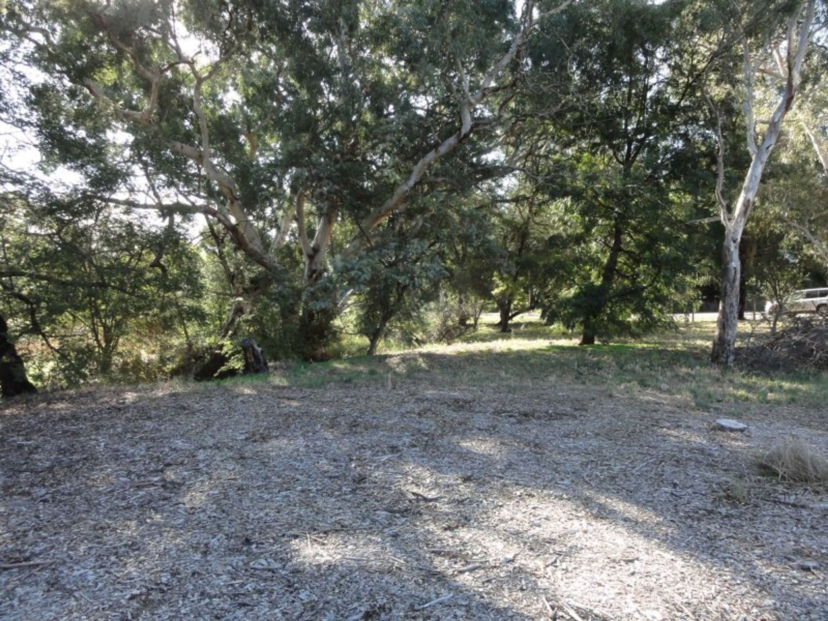 403 Forbidden, Nairne - Thumbnail 3
