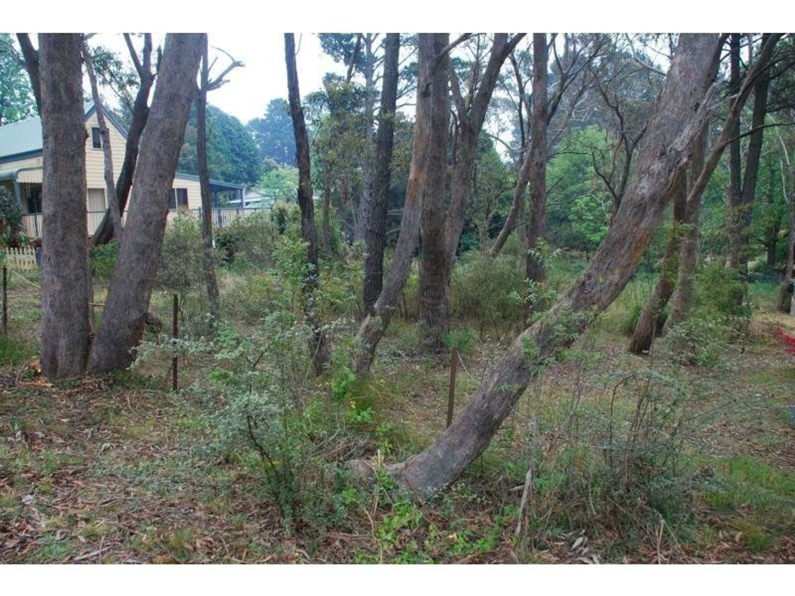 14 Minni Ha Ha Road, Katoomba - Image 1