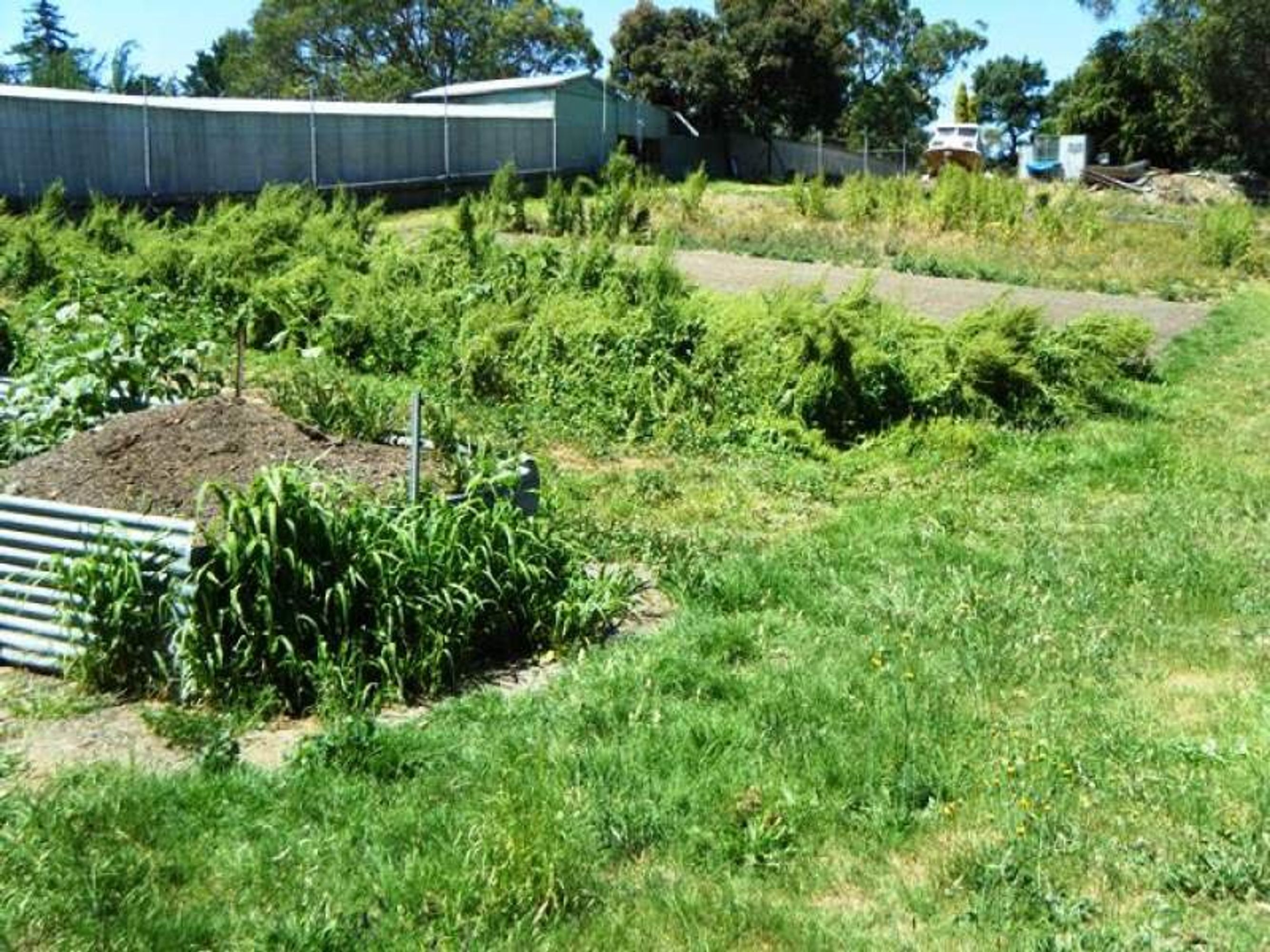 Lot 233 Bilney Road, Stirling, SA 5152, Stirling - Thumbnail 3