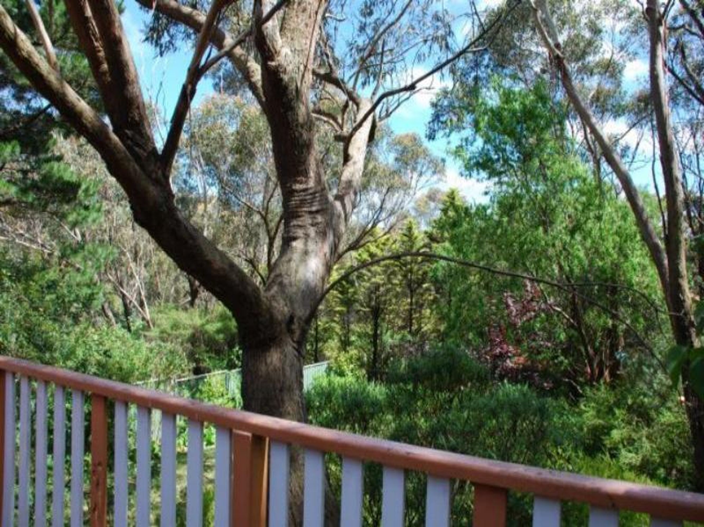 14 Willow Park Ave, Leura - Thumbnail 7