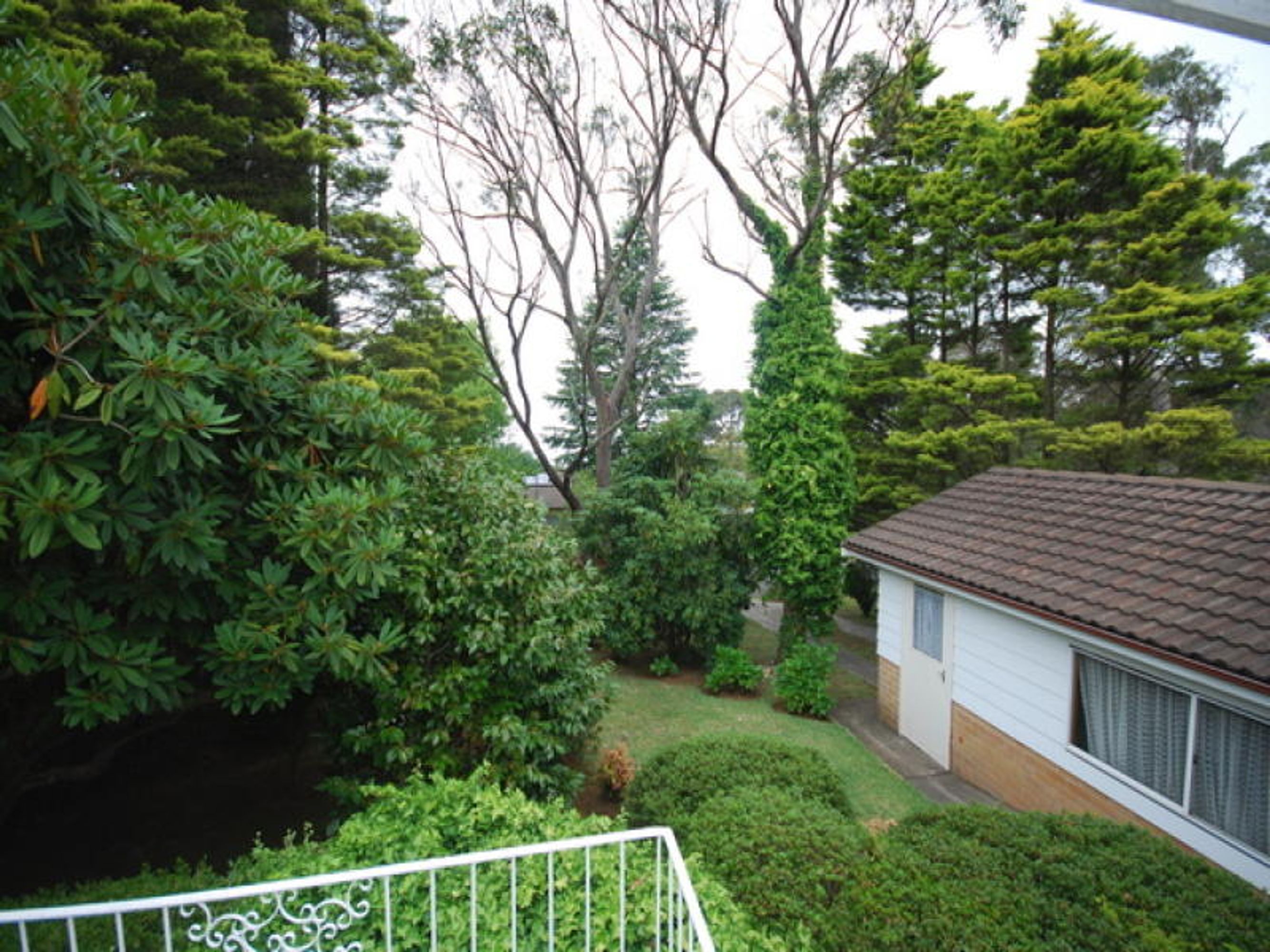 17 Ficus Street, Katoomba - Thumbnail 6