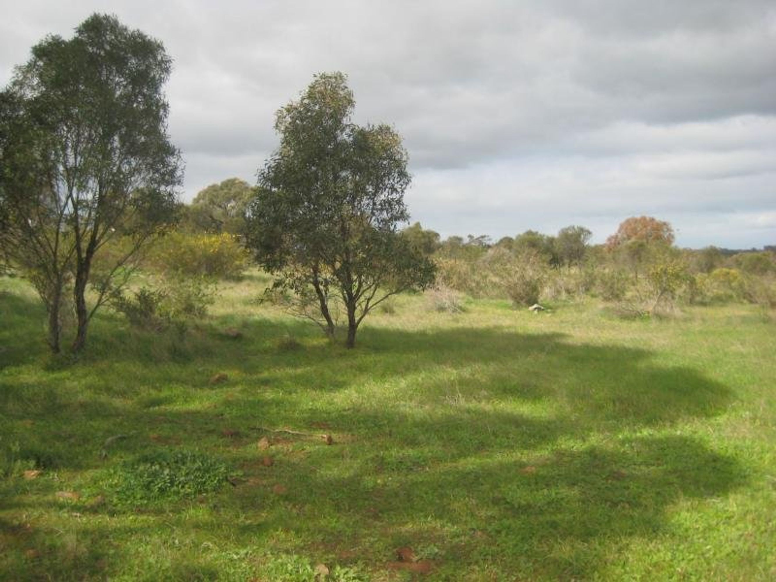 Lot 96 Anders Road, Rockleigh, SA 5254, Rockleigh - Thumbnail 6