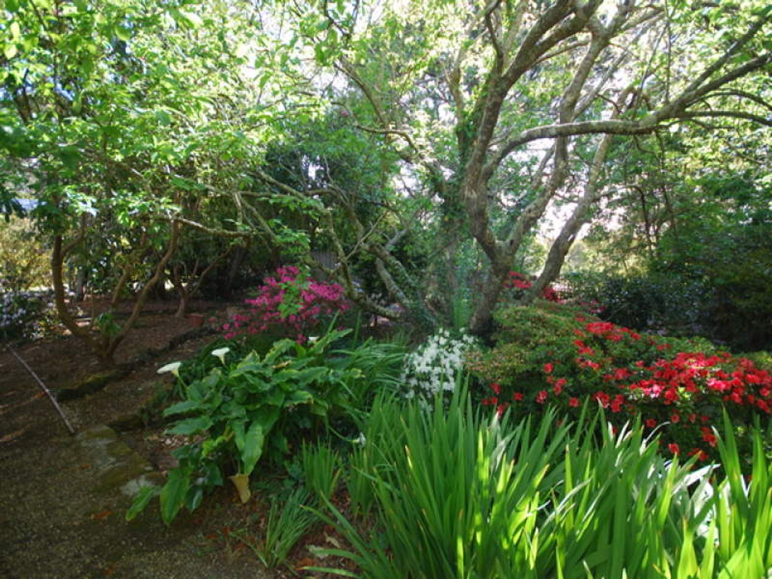 50 Pritchard Street, Wentworth Falls - Thumbnail 5
