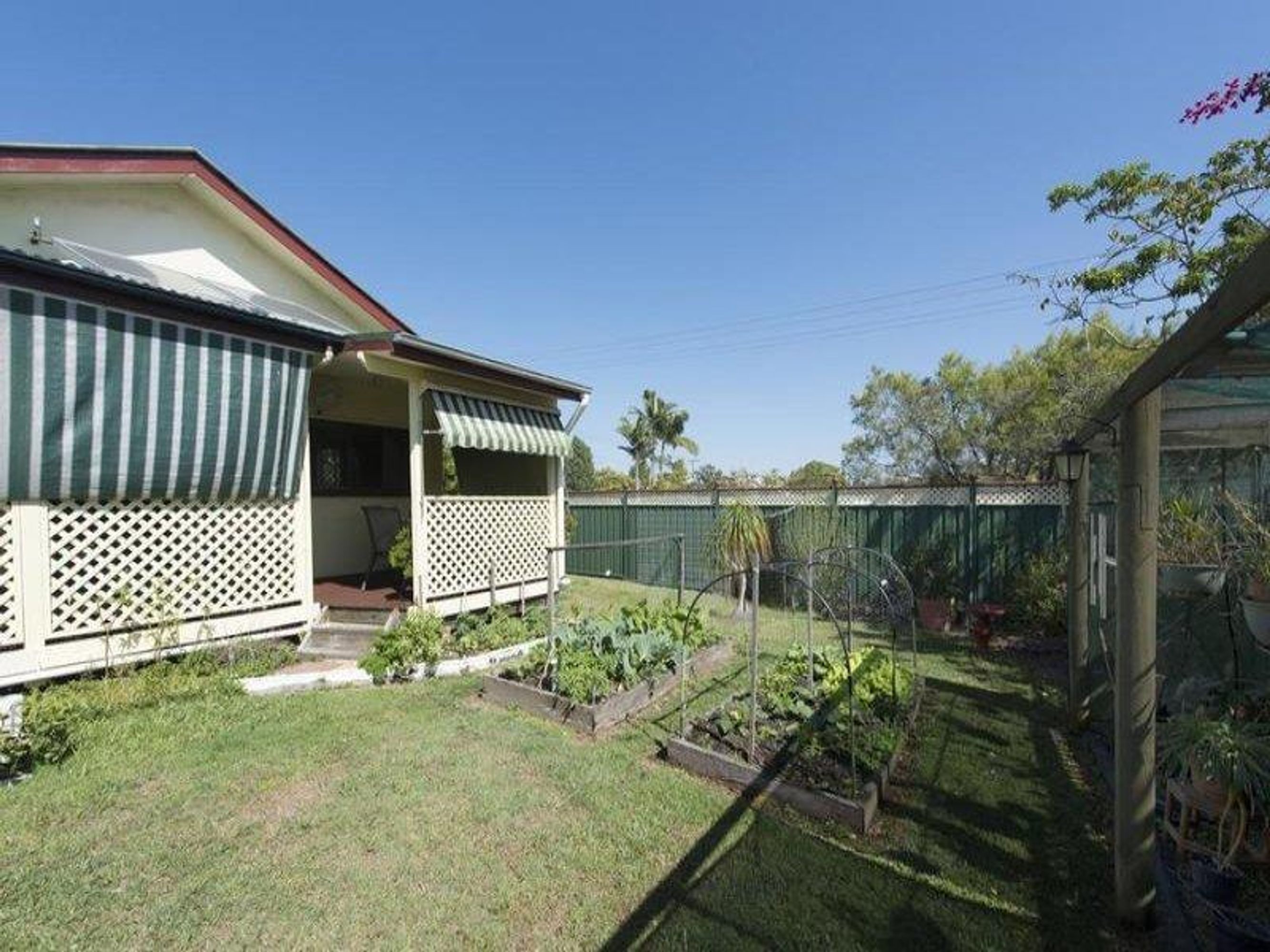 24 Pine Street, Junction Hill - Thumbnail 4