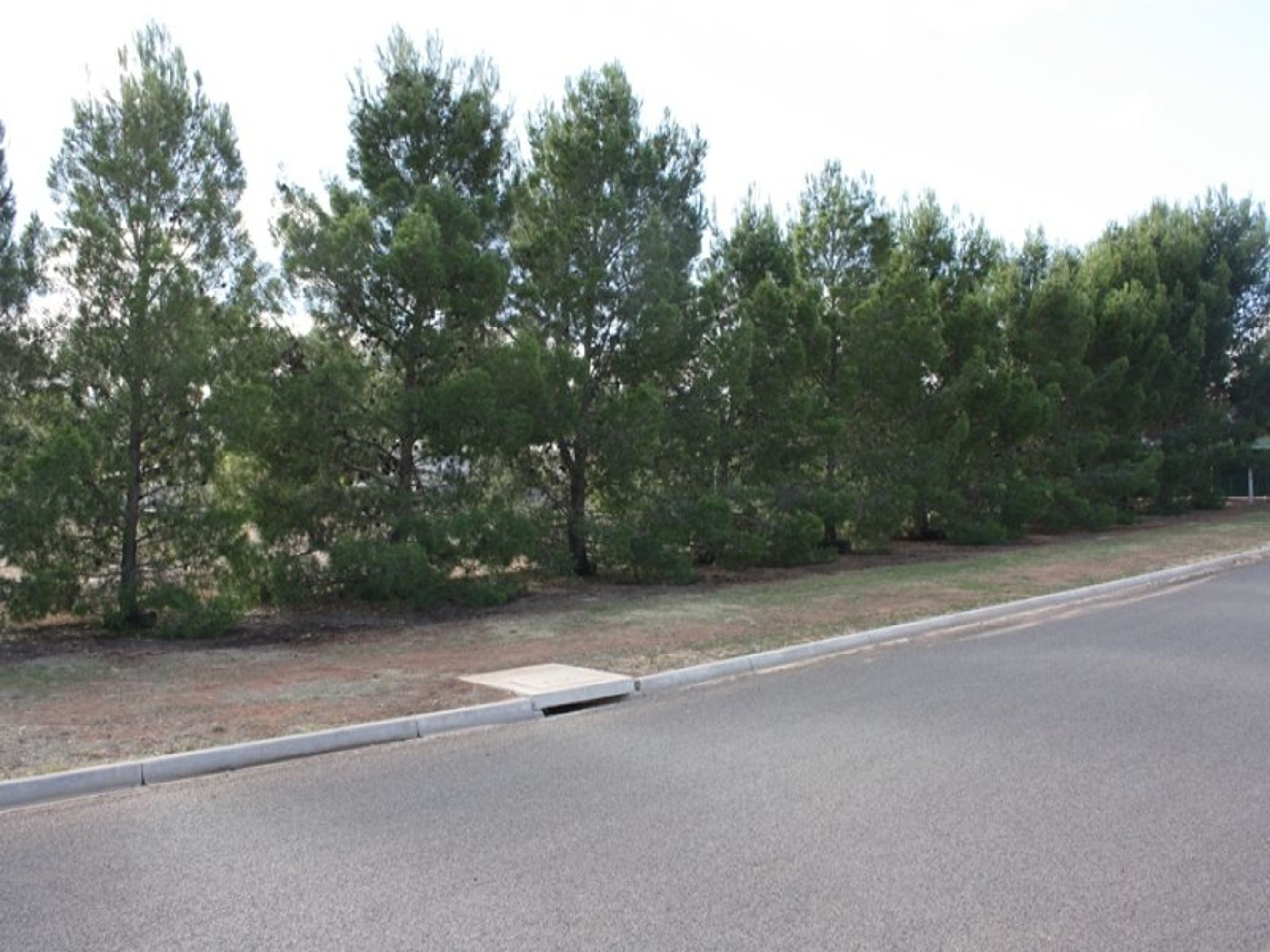 Lot 24 Townsend Street, Nhill VIC 3418, Nhill - Thumbnail 7