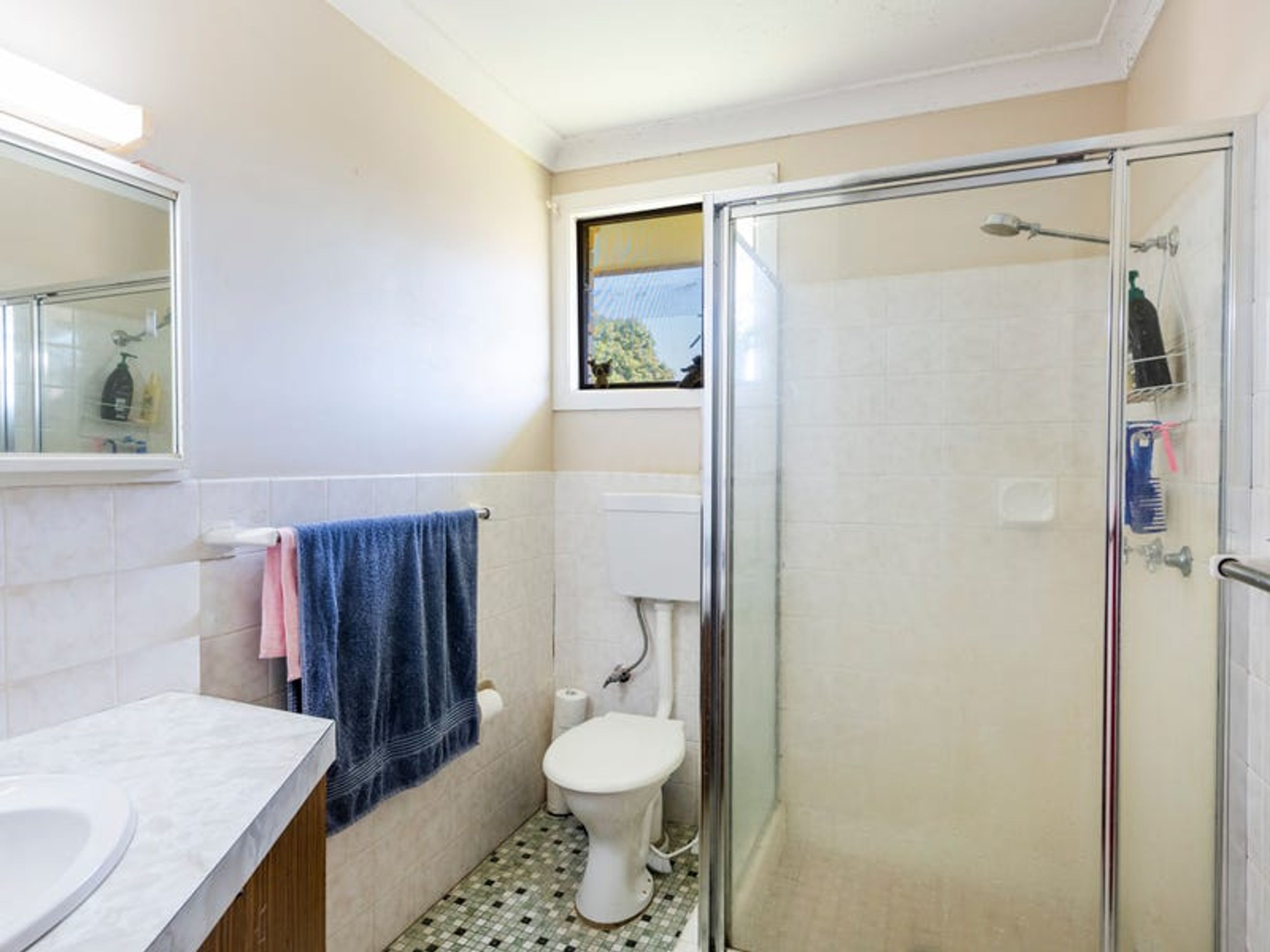 1/1/1 Cedar Street, Grafton - Thumbnail 8