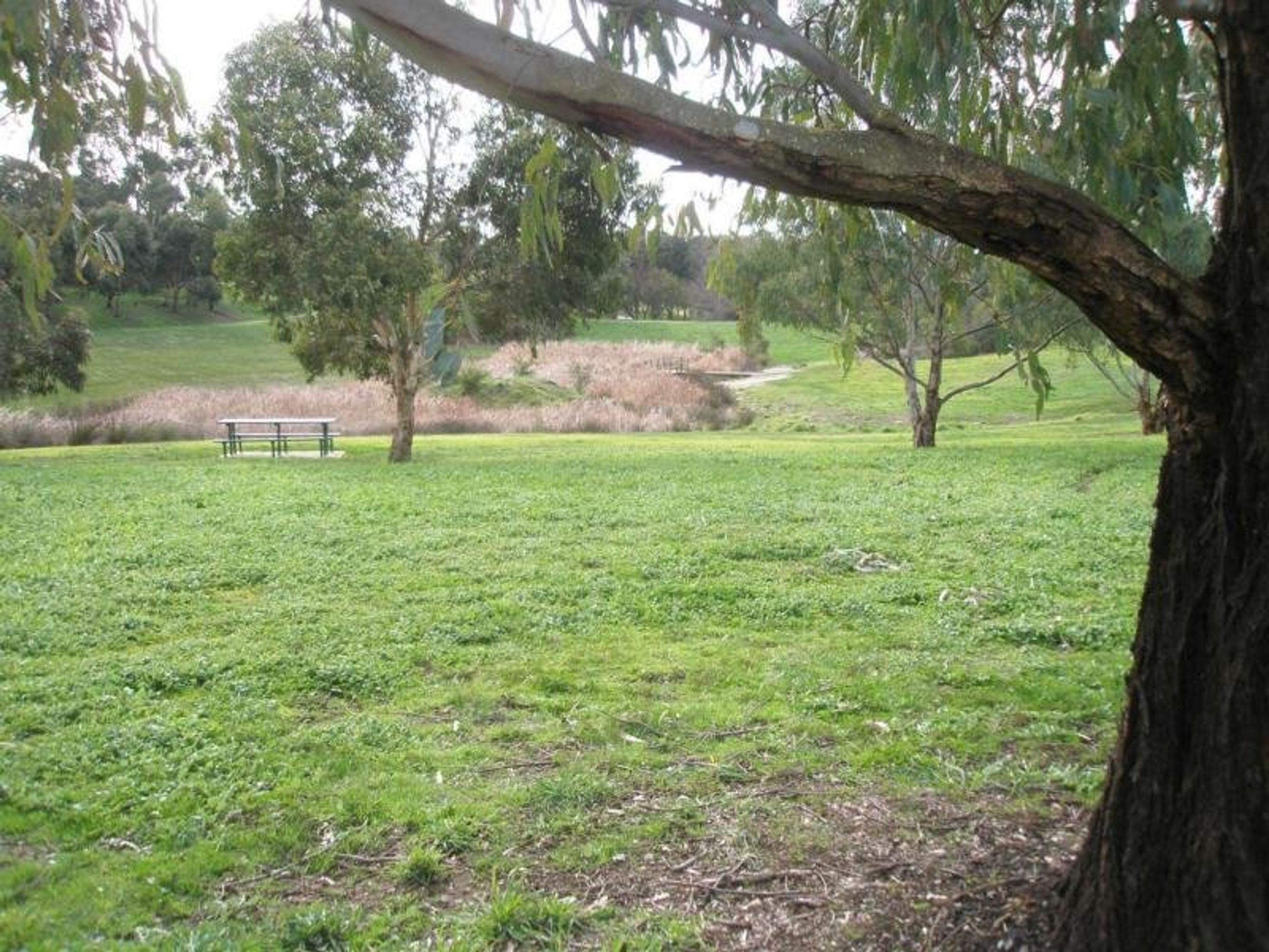 12 Chapman Crescent, Nairne, SA 5252, Nairne - Thumbnail 7