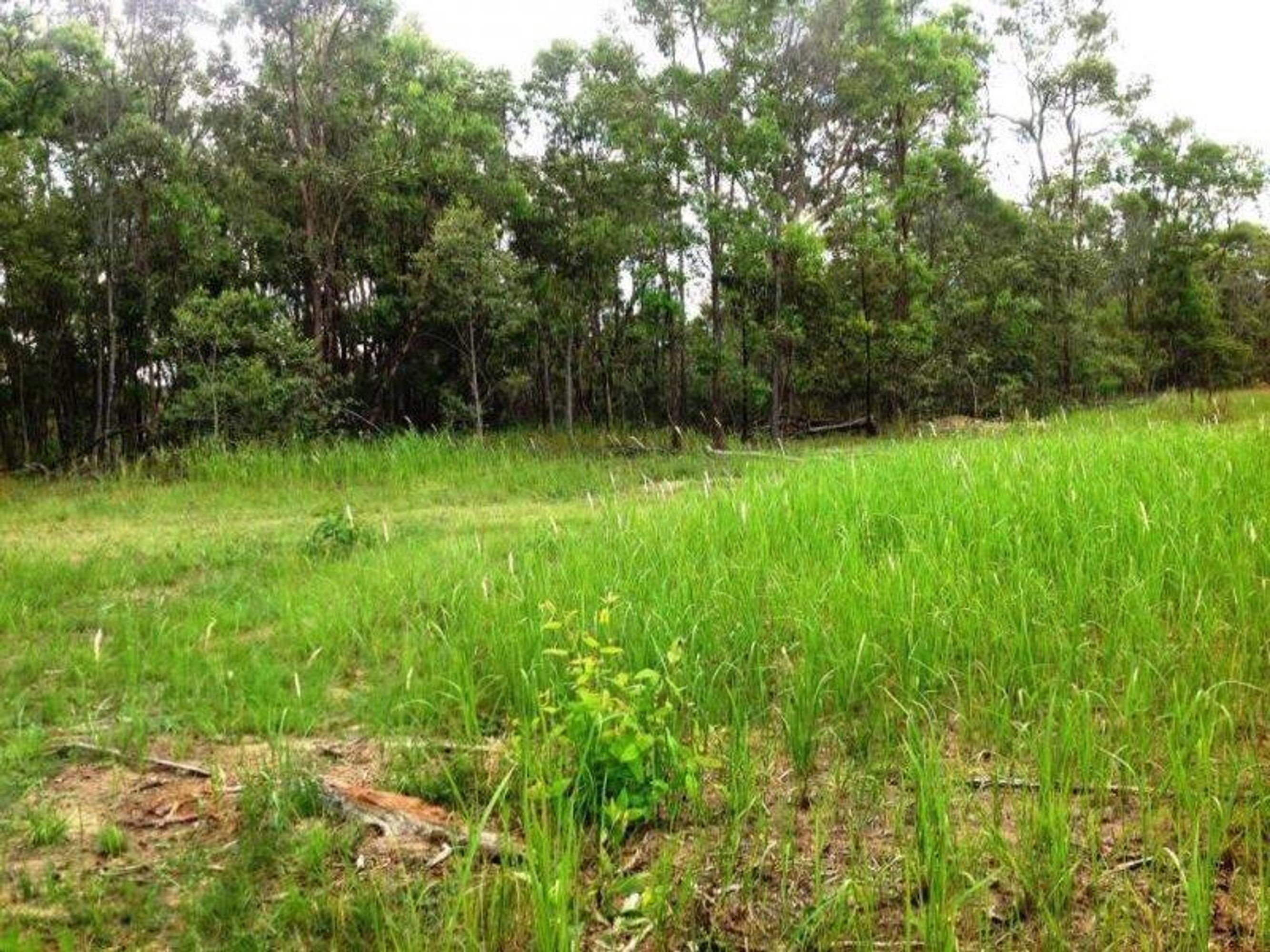 Lot 396/Lot 396/396 Shannondale Road, Shannondale - Image 1
