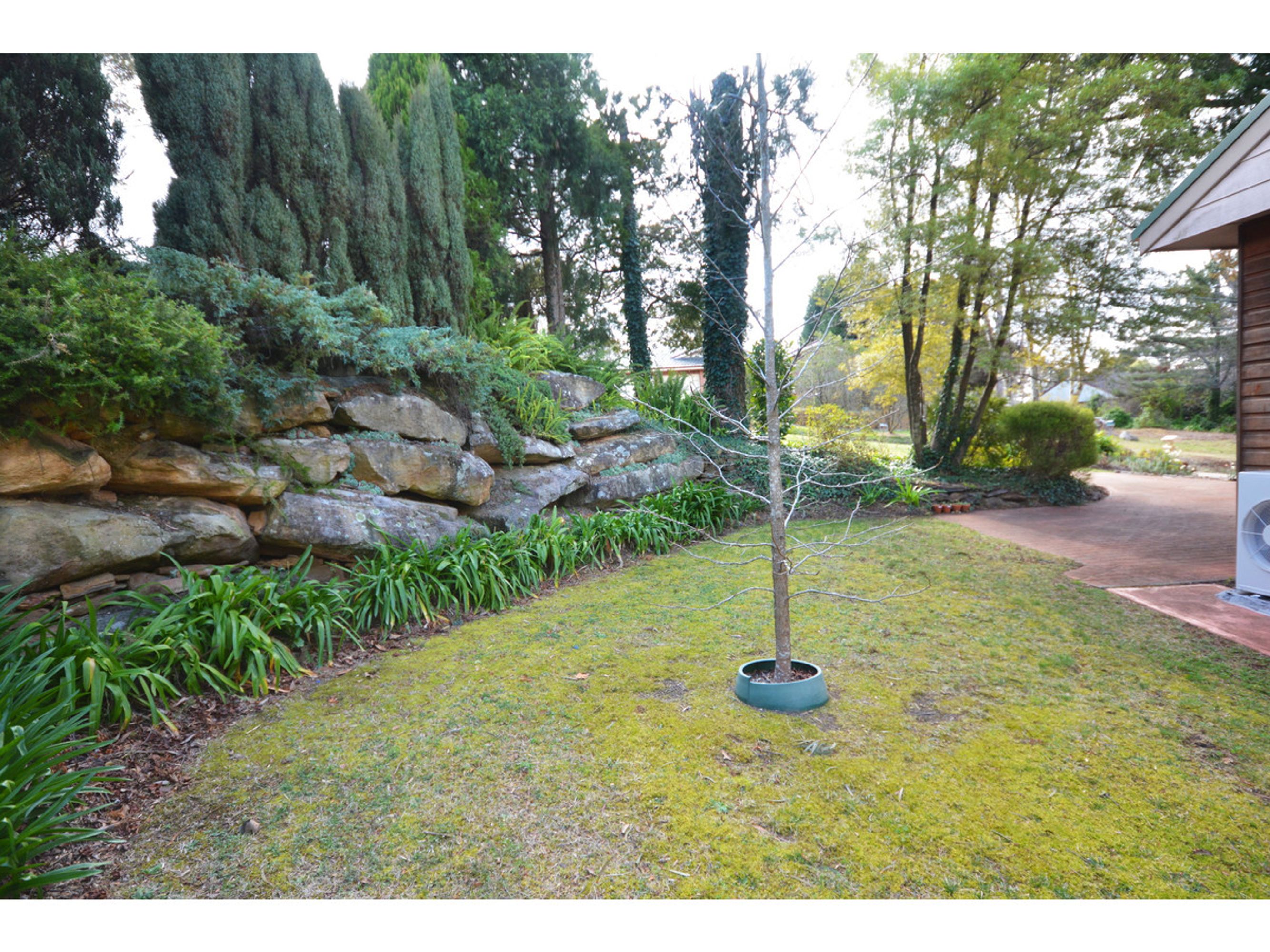 31 Seventh Avenue, Katoomba - Thumbnail 6