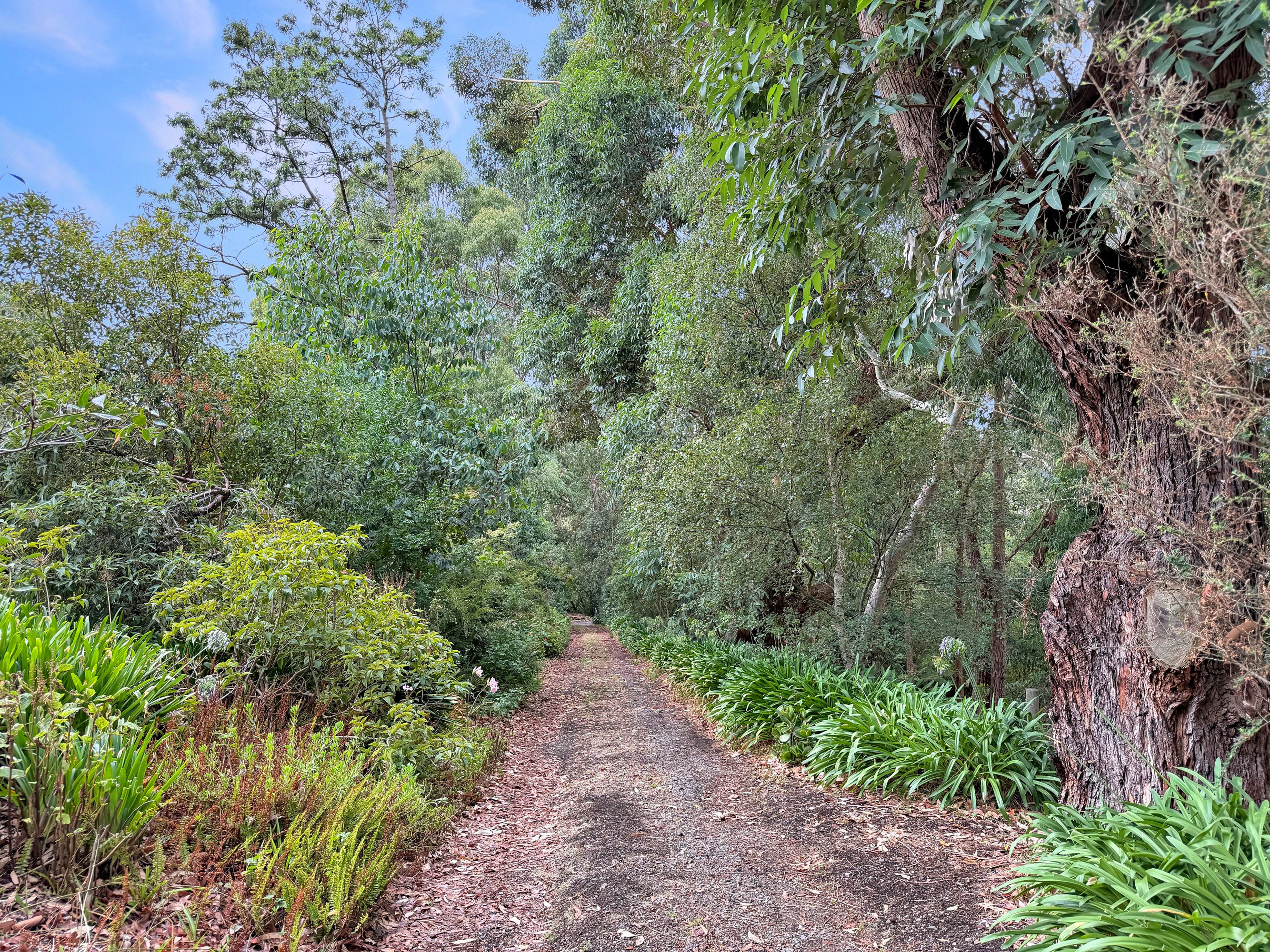65 Lester Drive, Nyora - Thumbnail 2