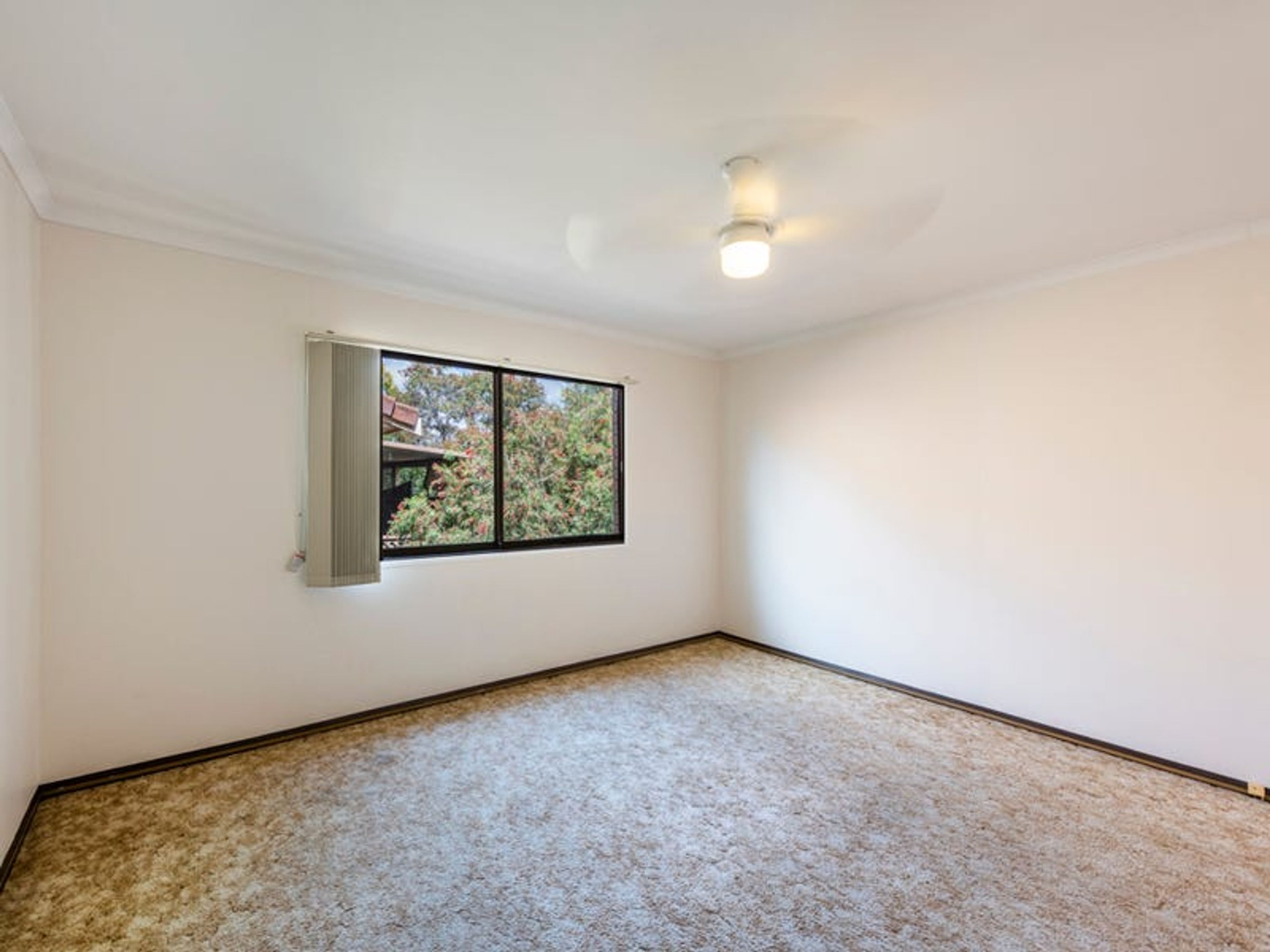 290 Bent Street, South Grafton - Thumbnail 7