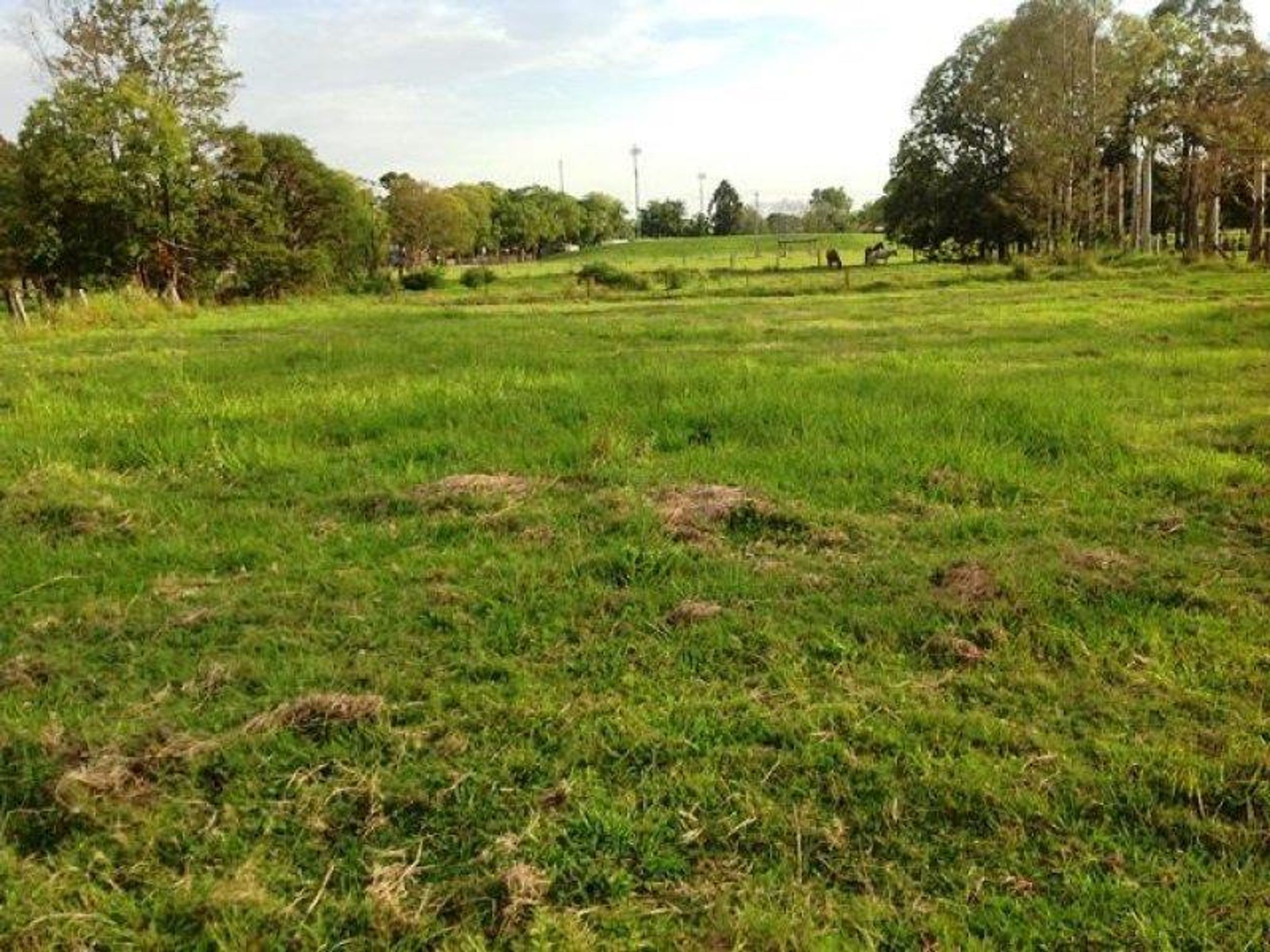 Lot 309 & 312/Lot 309 & 312/309-312 Vere Street, South Grafton - Thumbnail 3