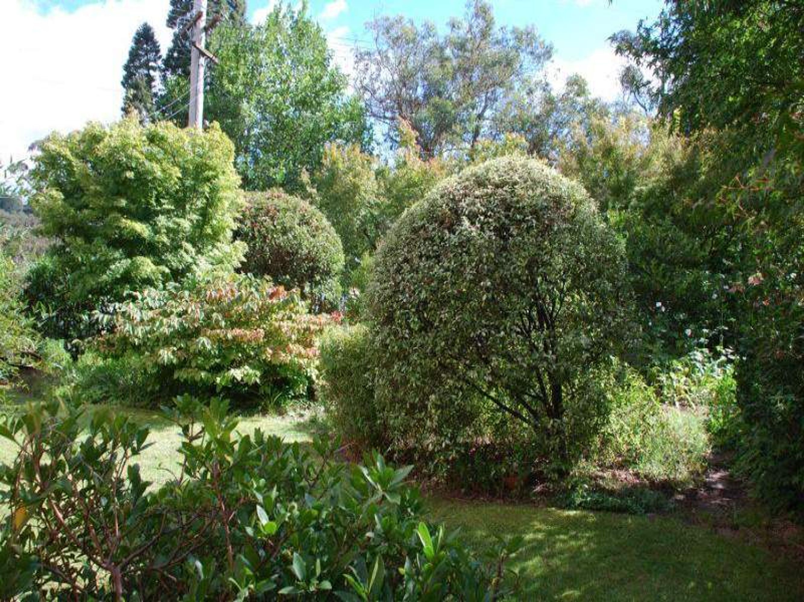 2 Oak St, Katoomba - Thumbnail 7