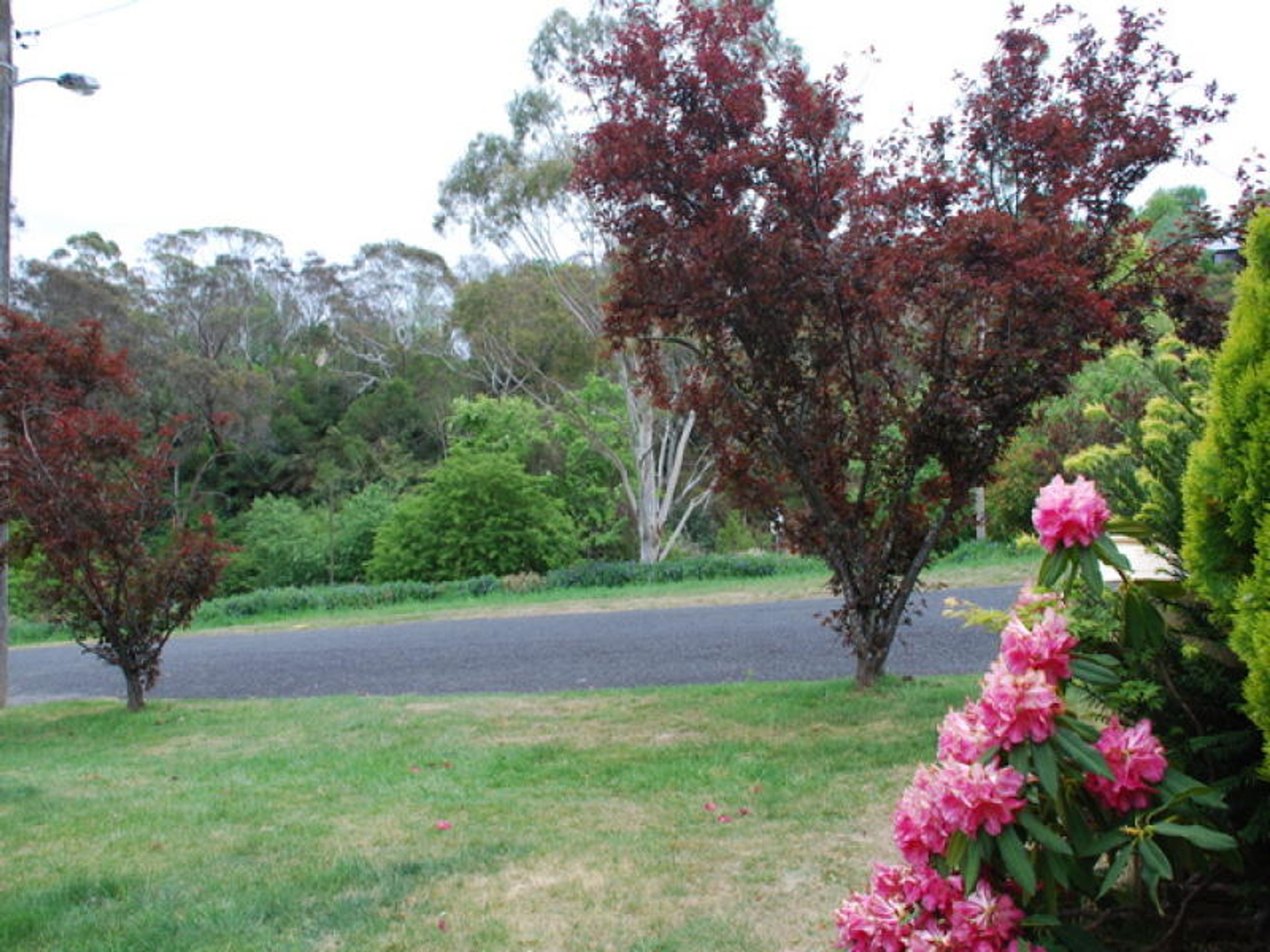 15 Pine Street, Katoomba - Thumbnail 2