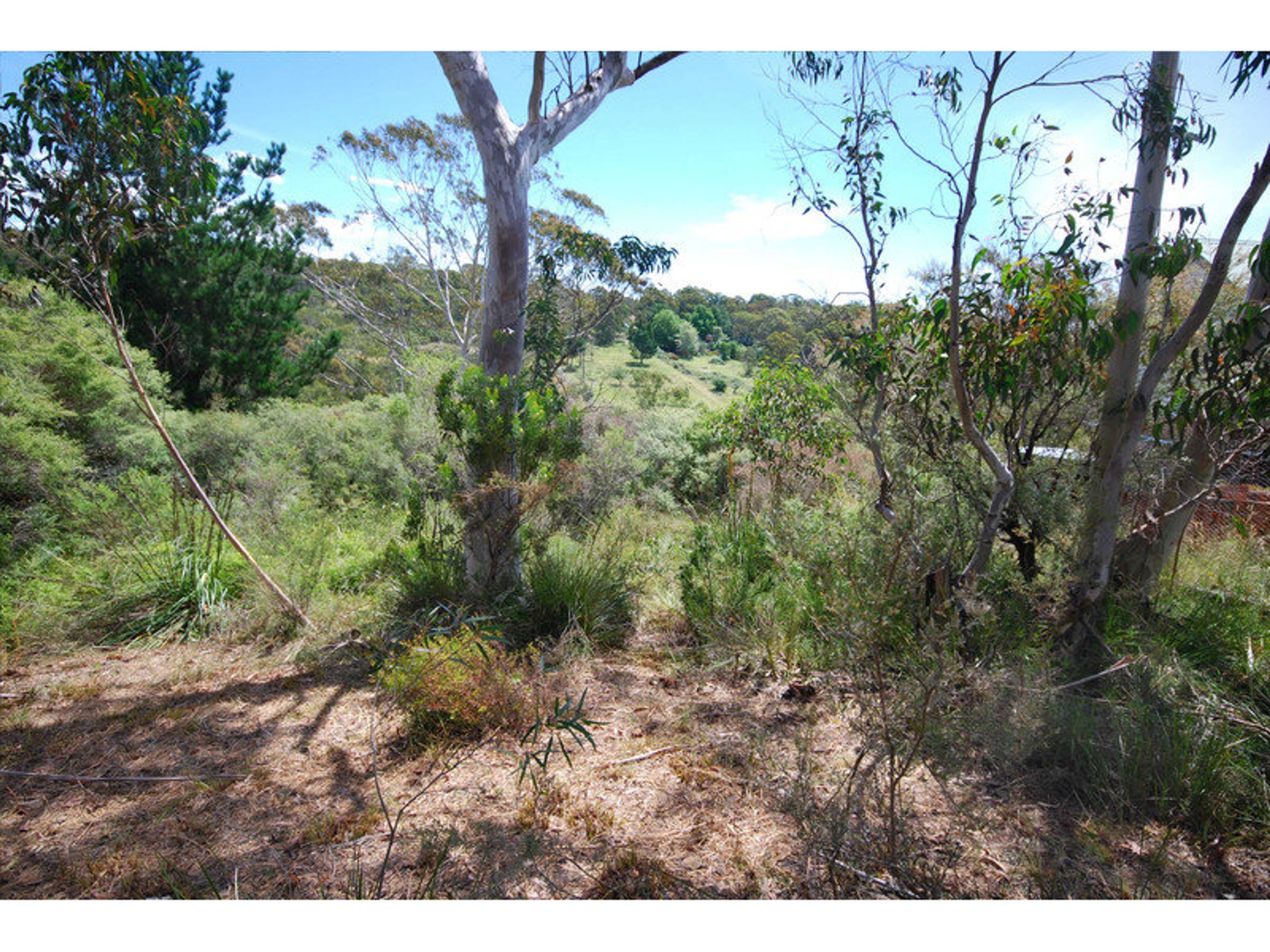 58 First Avenue, Katoomba - Thumbnail 3
