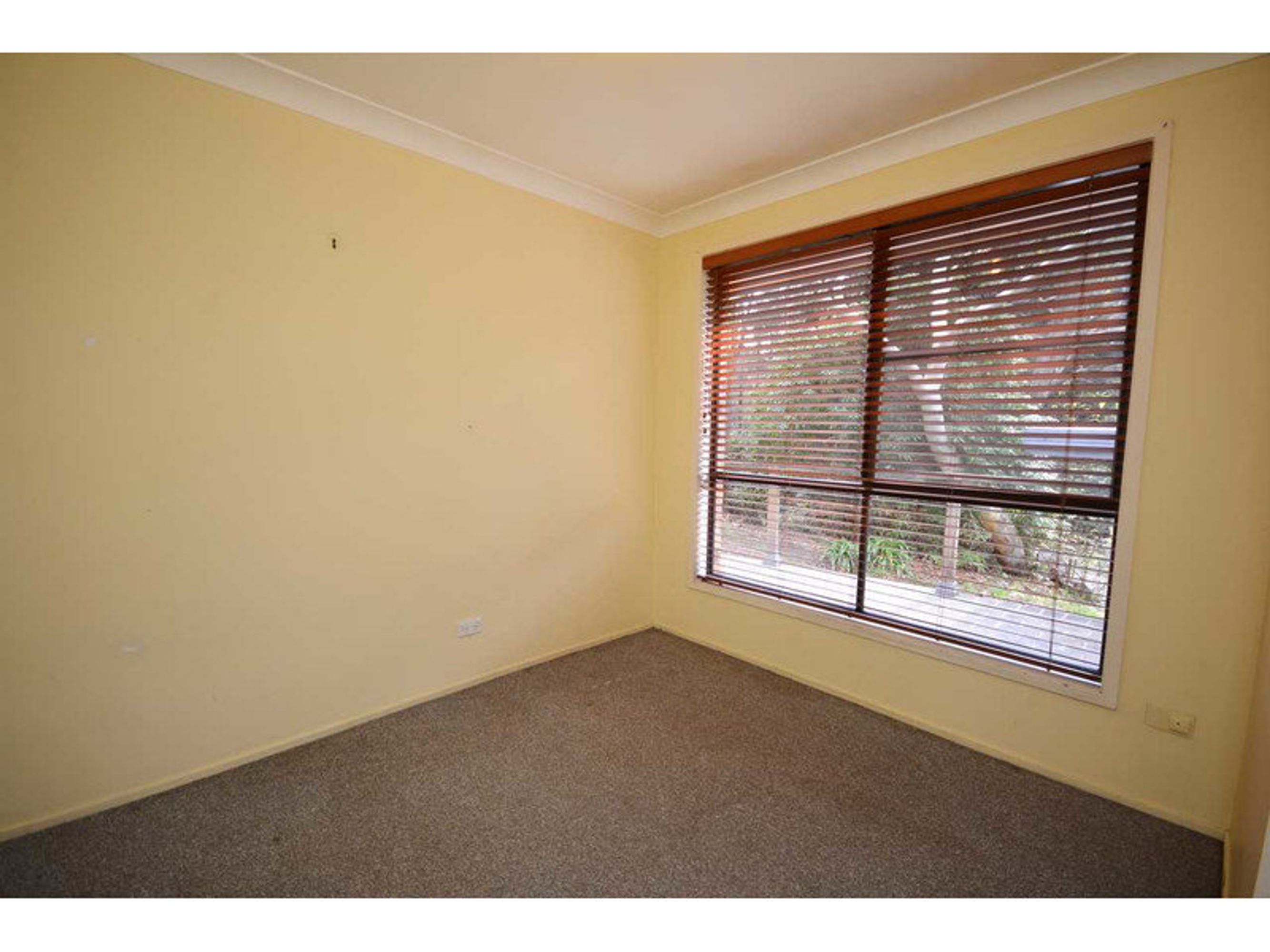 91 Seventh Avenue, Katoomba - Thumbnail 4