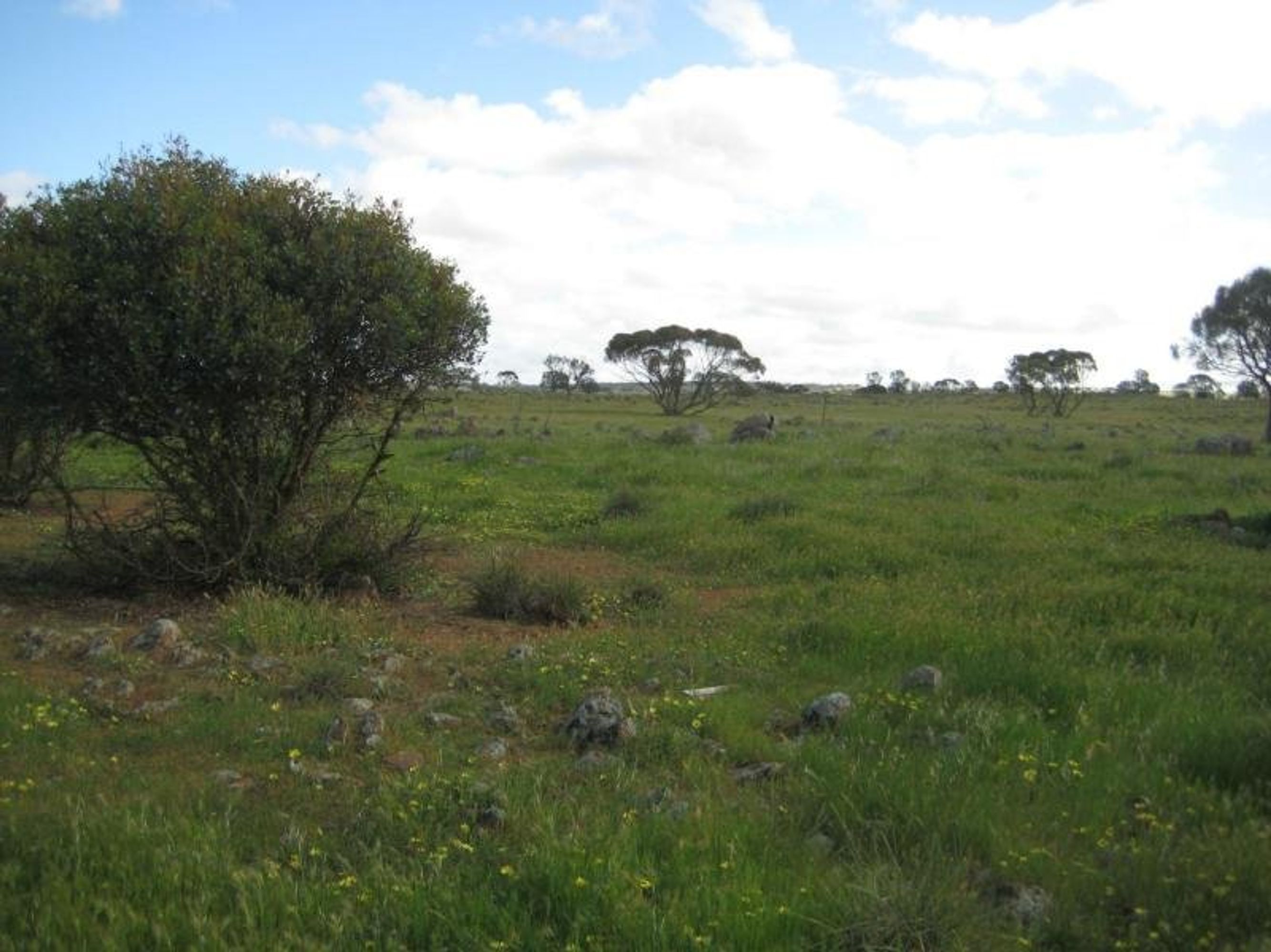 L7/62 Gogel Road, Rockleigh, SA 5254, Rockleigh - Thumbnail 7