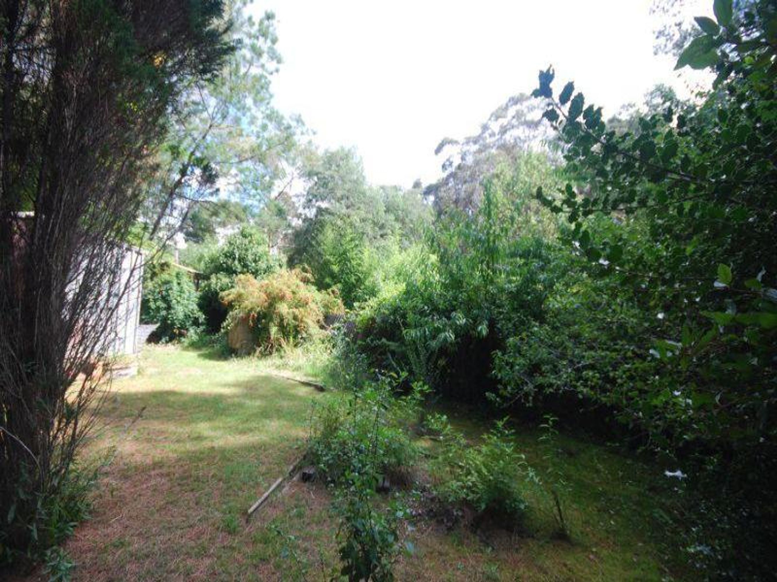 241 Katoomba St, Katoomba - Thumbnail 4