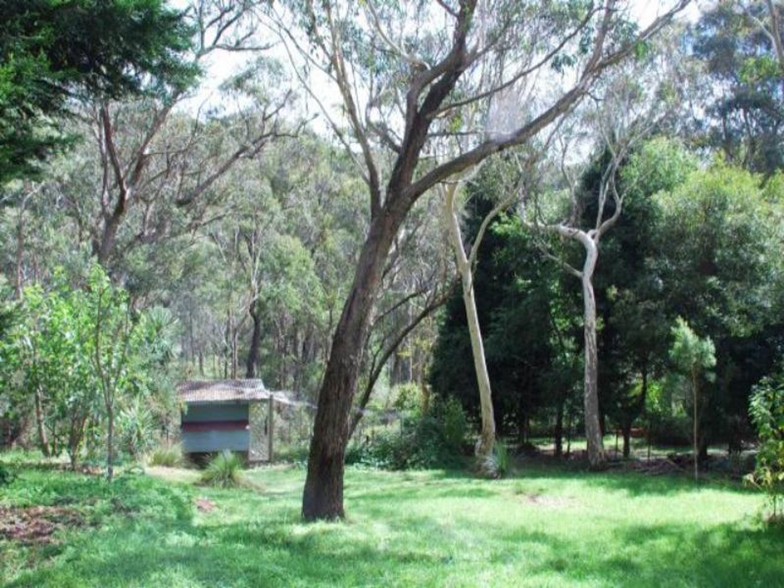 40 Fifth Ave, Katoomba - Thumbnail 2