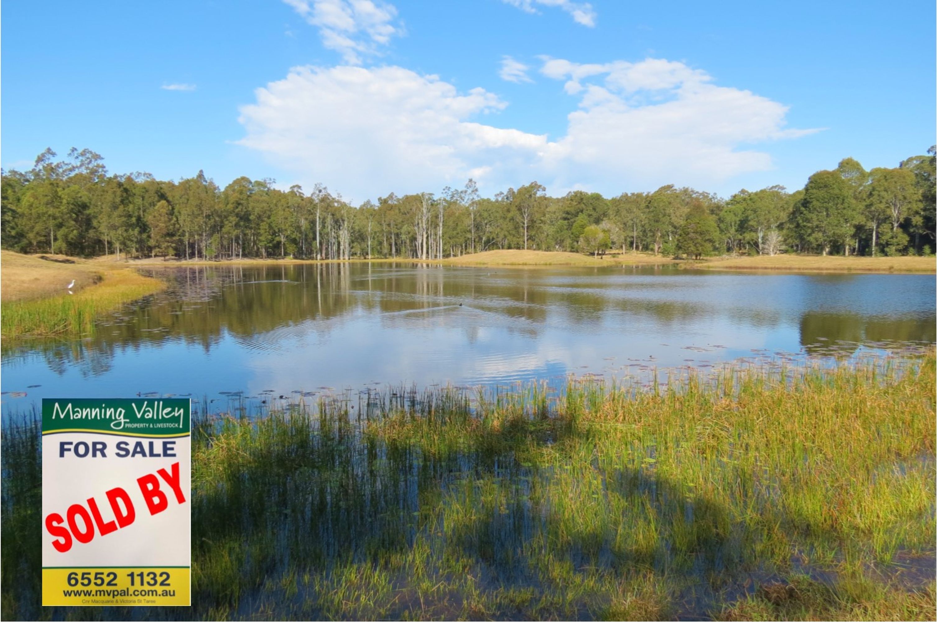 Taree, Taree - Thumbnail 6