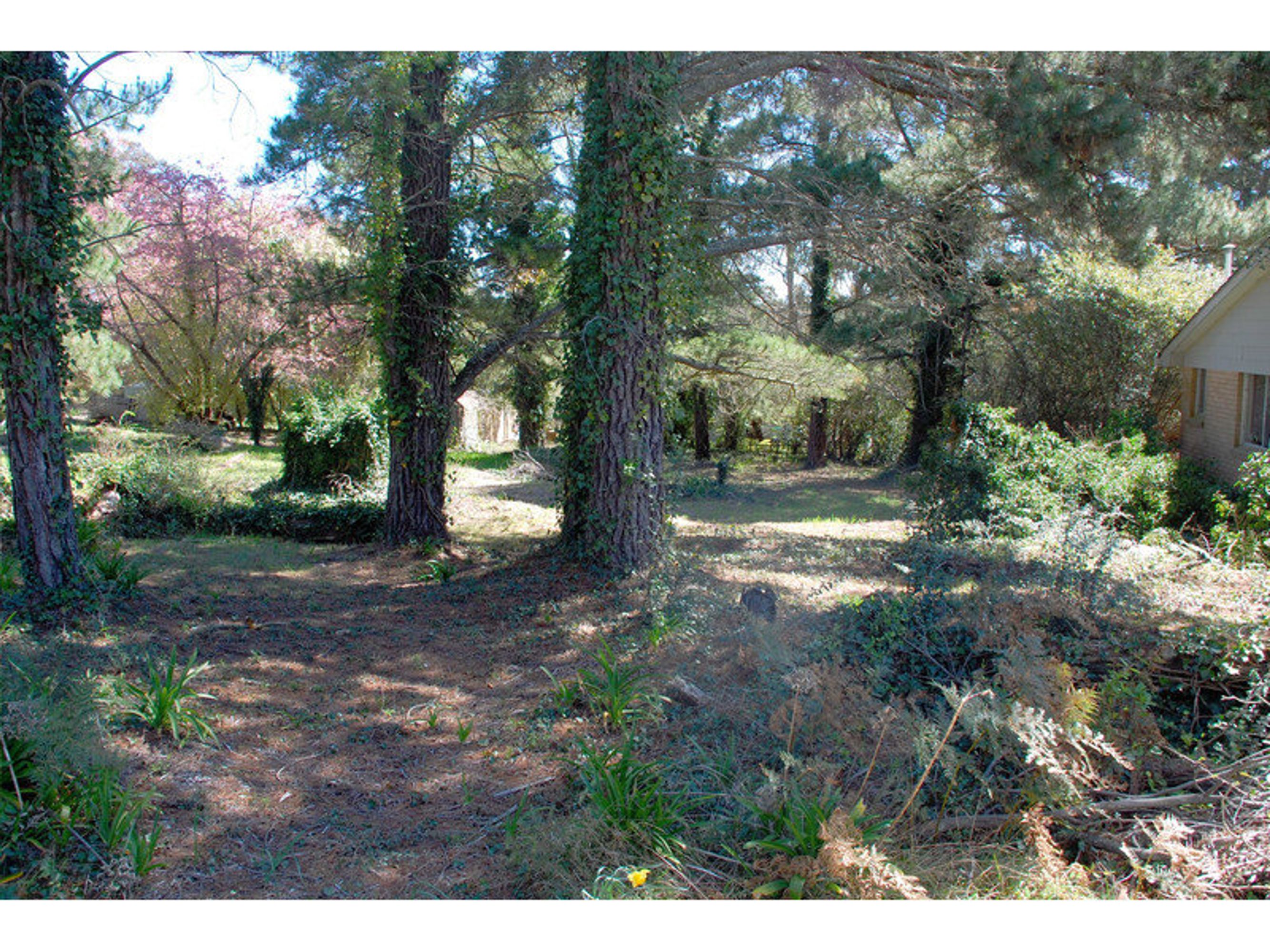 20 Seventh Avenue, Katoomba - Thumbnail 3