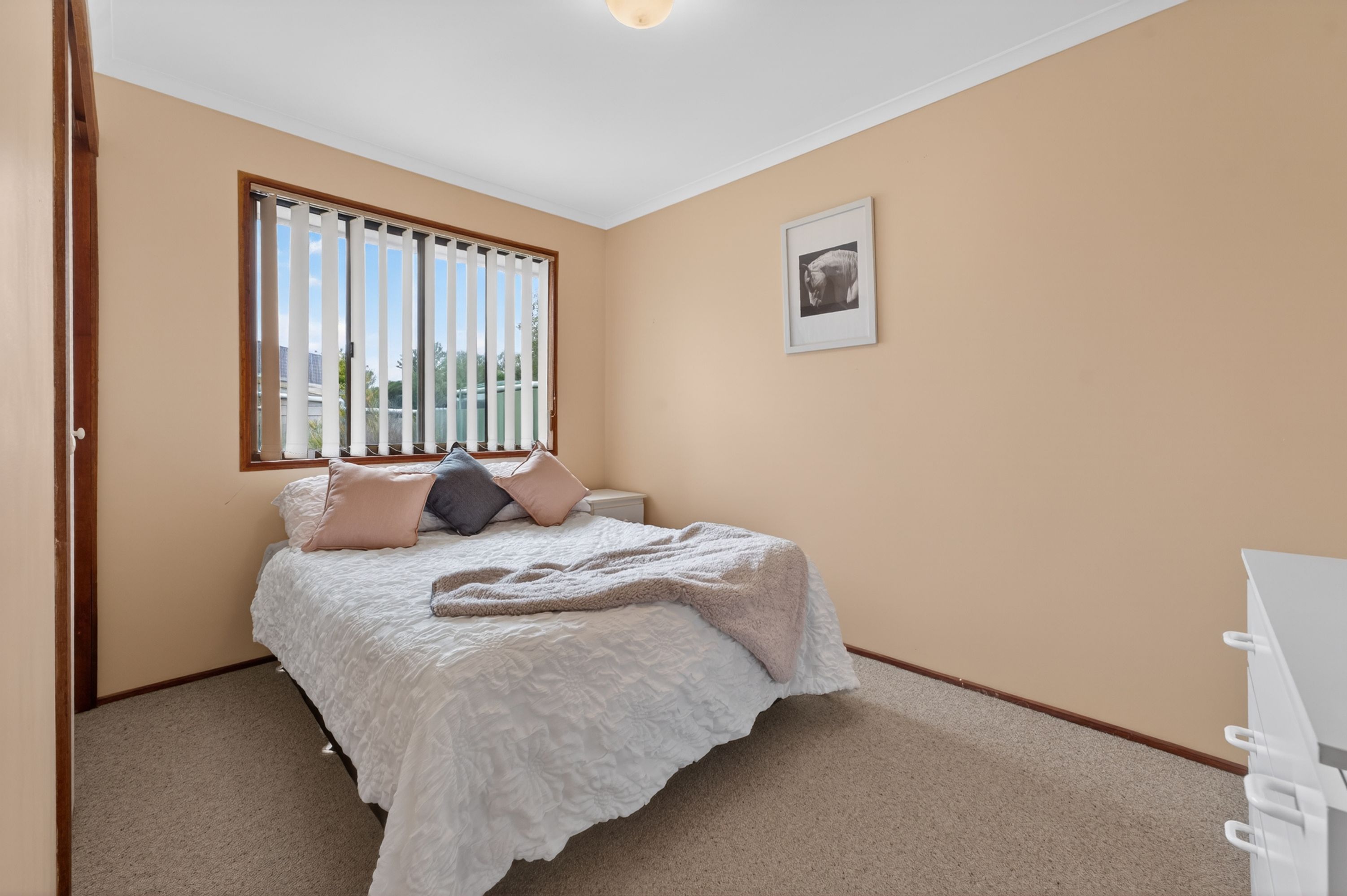 38 Belmont Street, Inglewood, Inglewood - Thumbnail 3