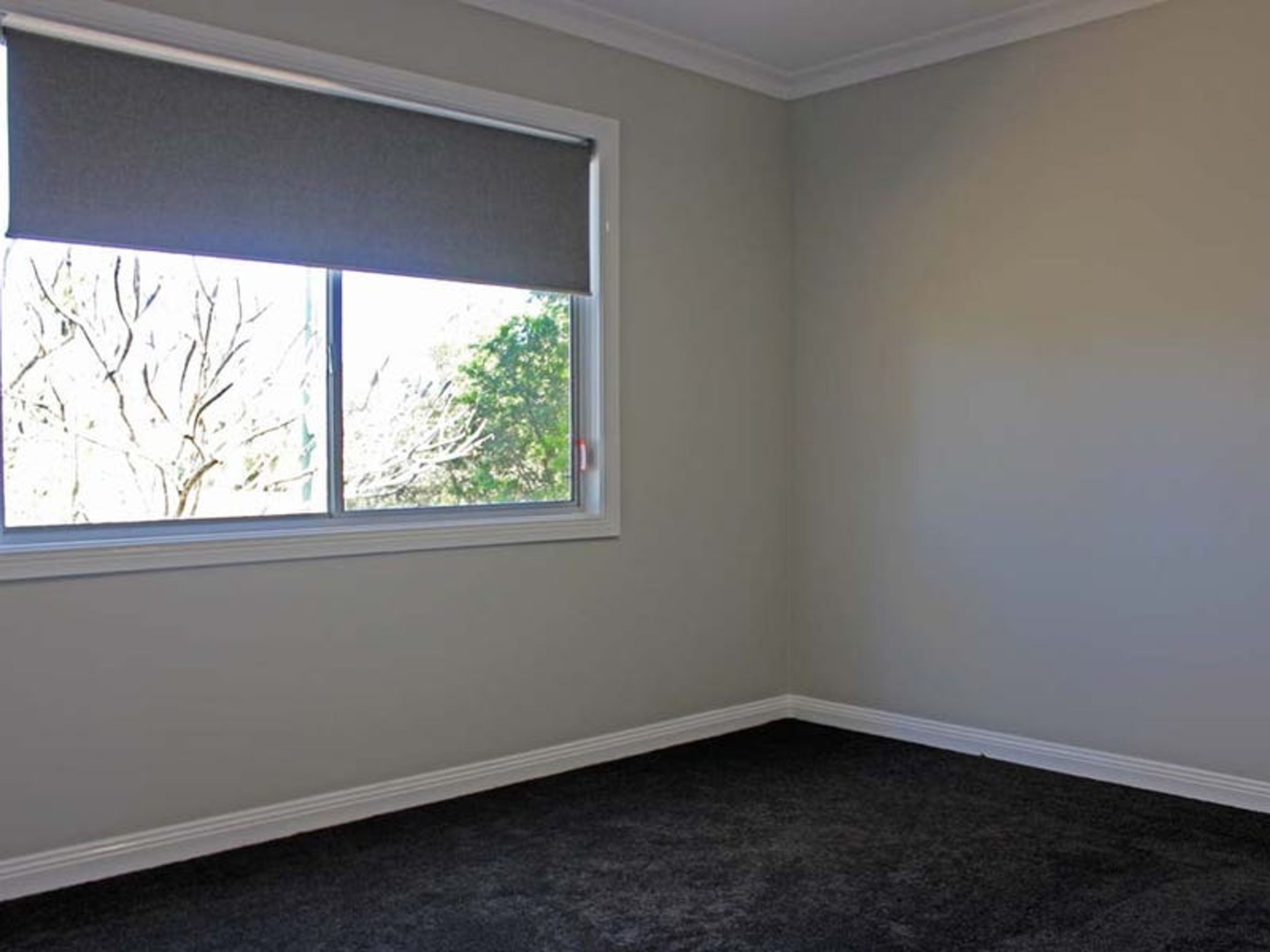 14 Neill Street, Lawrence - Thumbnail 8