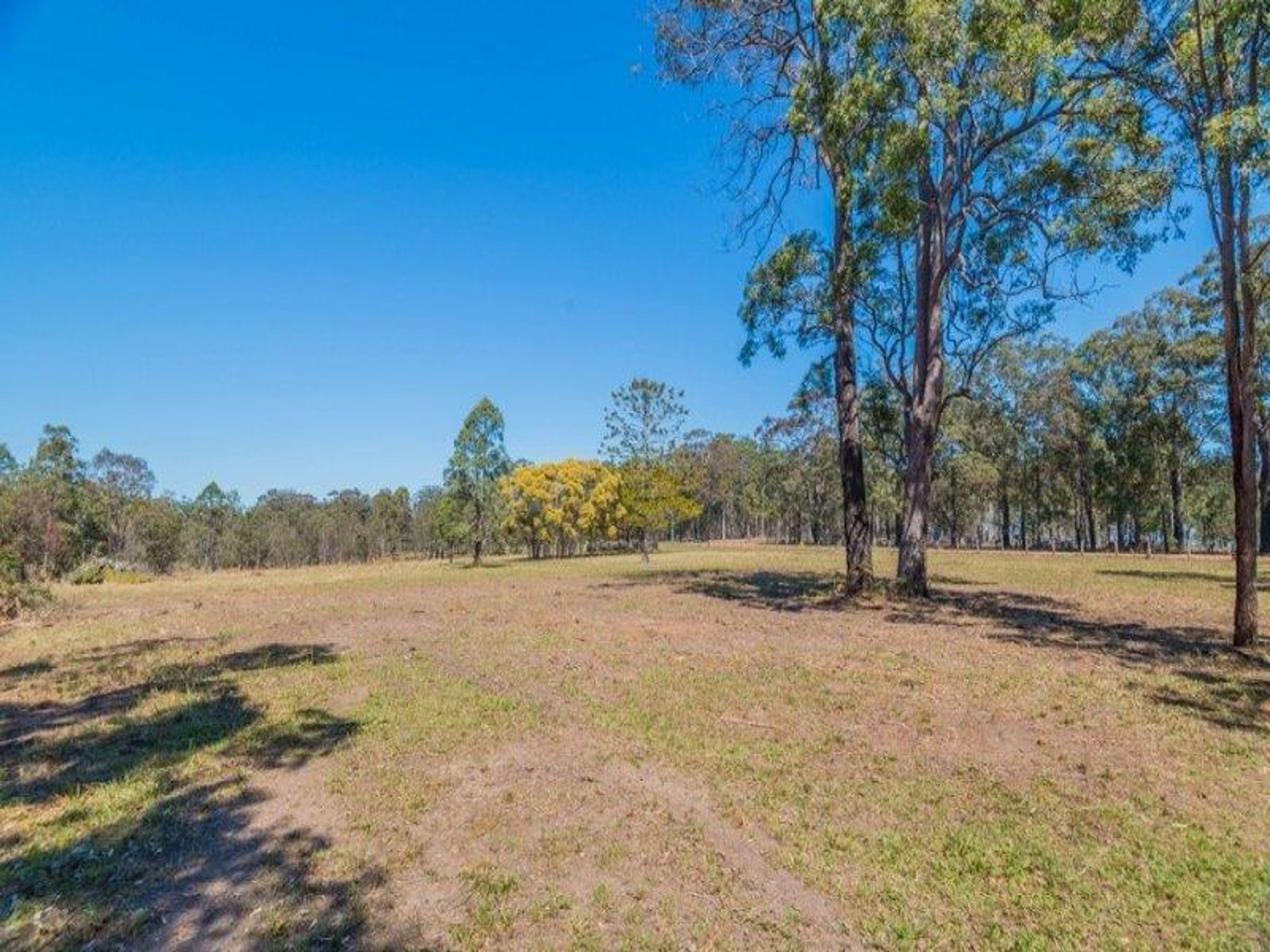 389 Wooli Road, Pillar Valley - Thumbnail 5