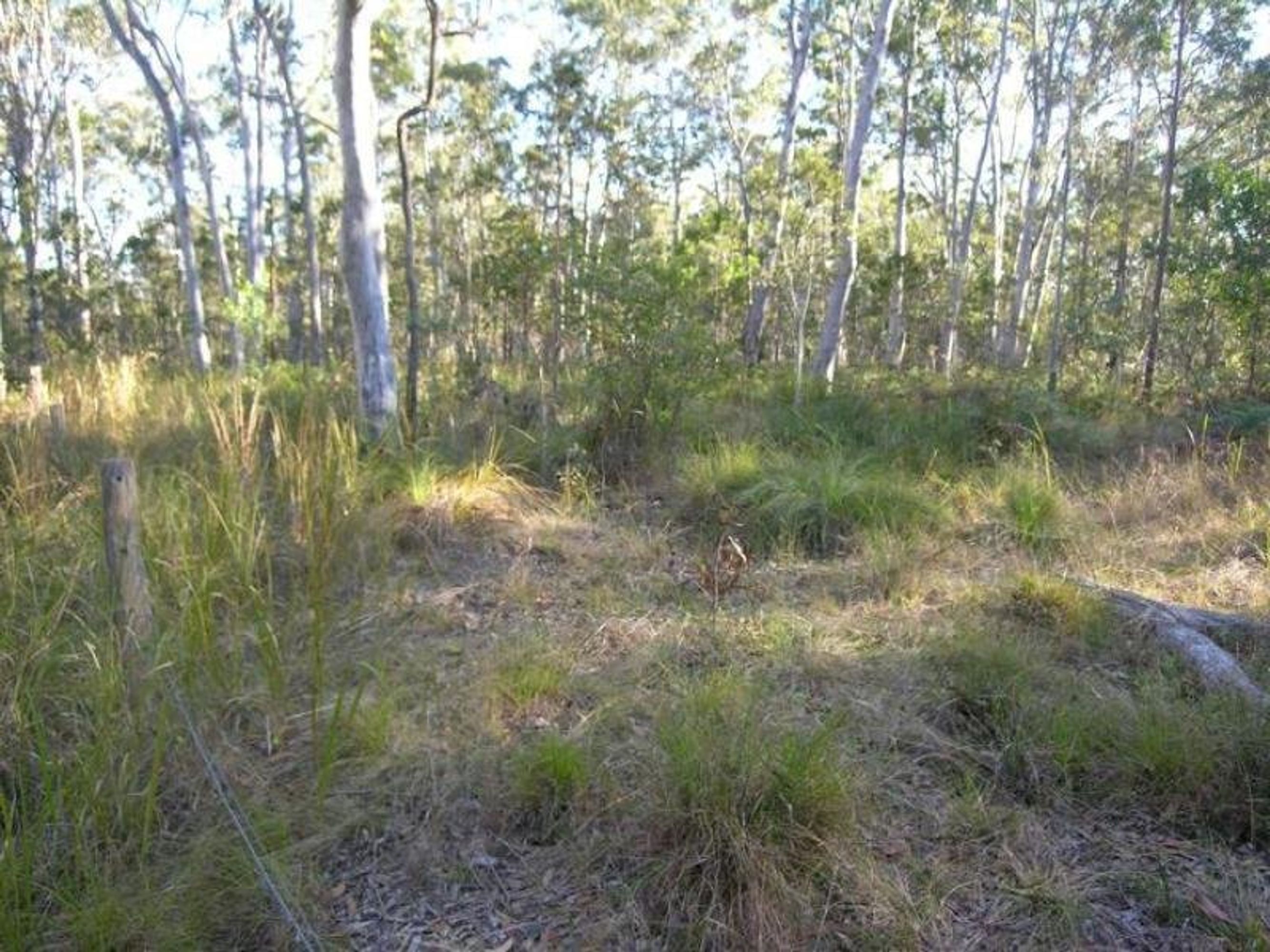 Lot 43/Lot 43/43 Burragan Road, Kangaroo Creek - Thumbnail 4