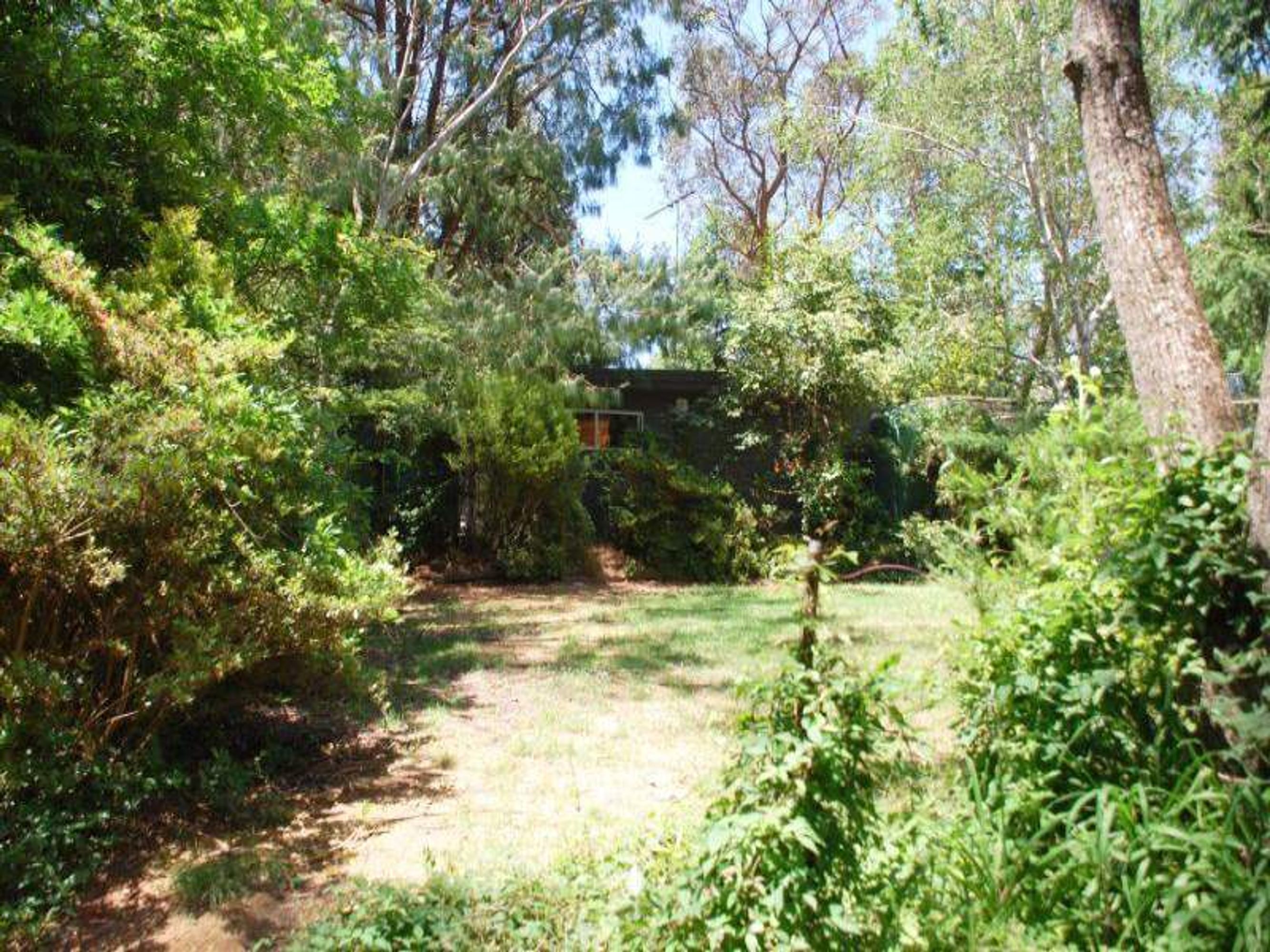60 Minni Ha Ha Rd, Katoomba - Thumbnail 8