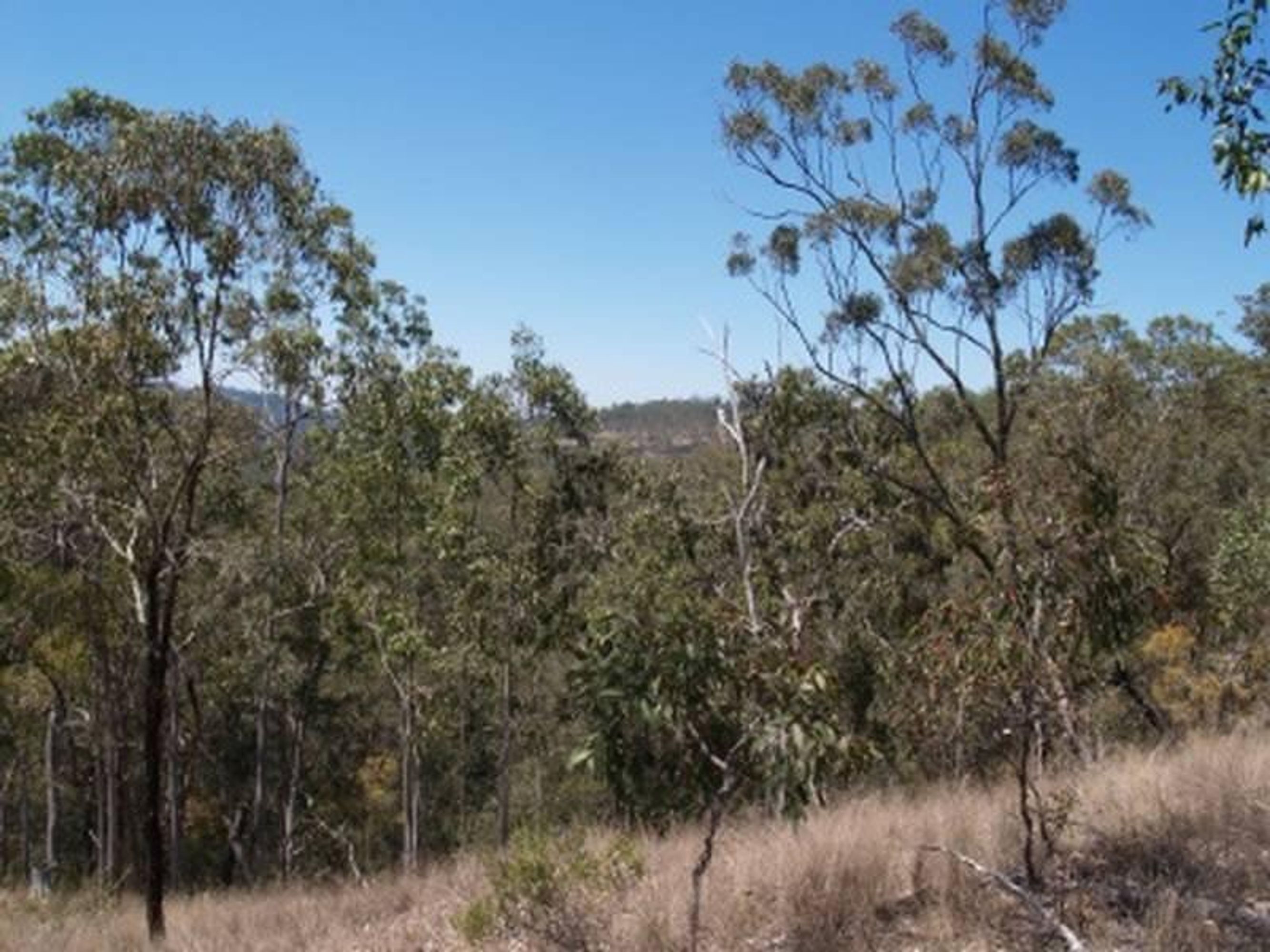 72 Martin Road, Nymboida - Thumbnail 3