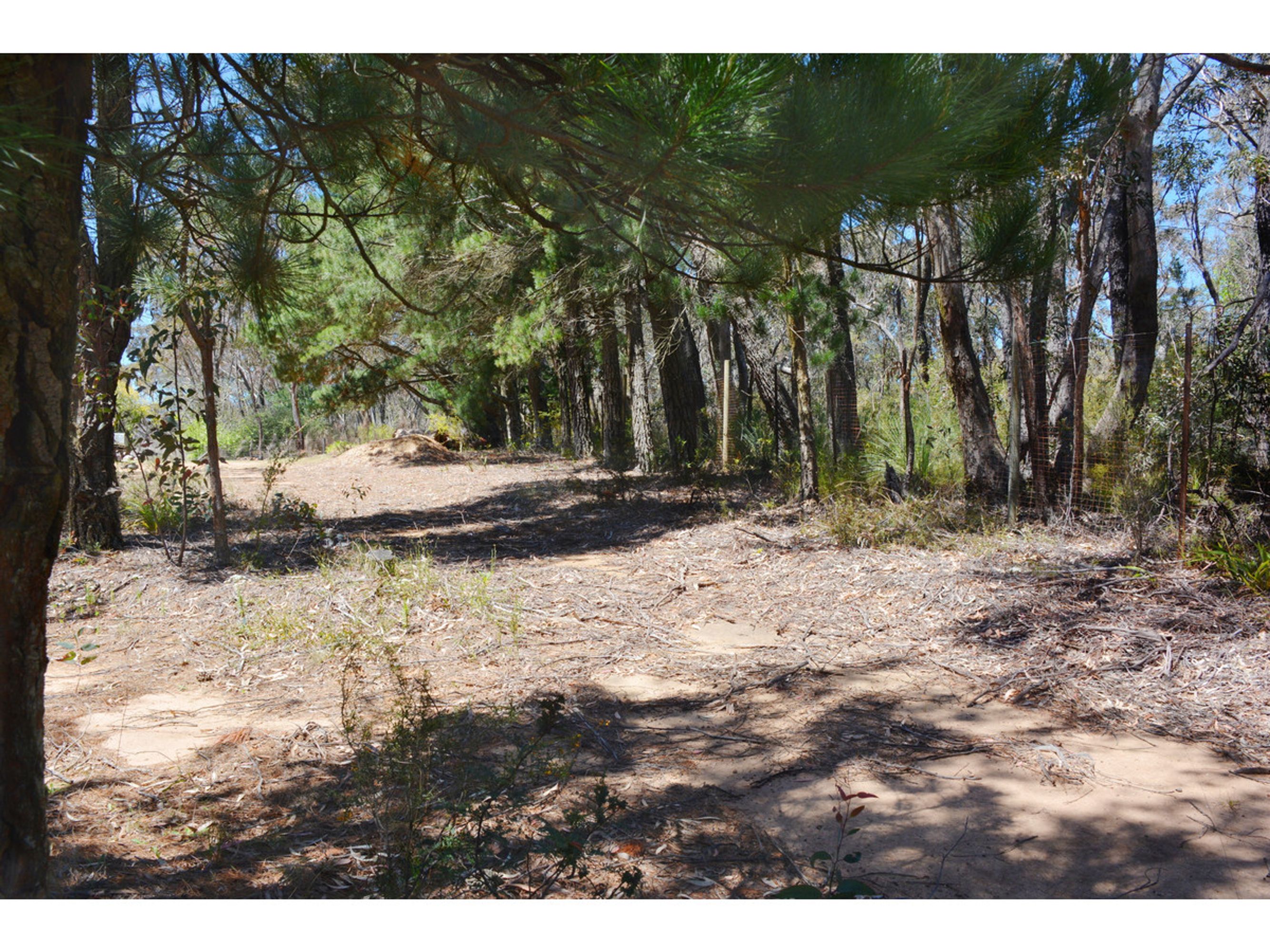 49 Hill View Road, Katoomba - Thumbnail 2