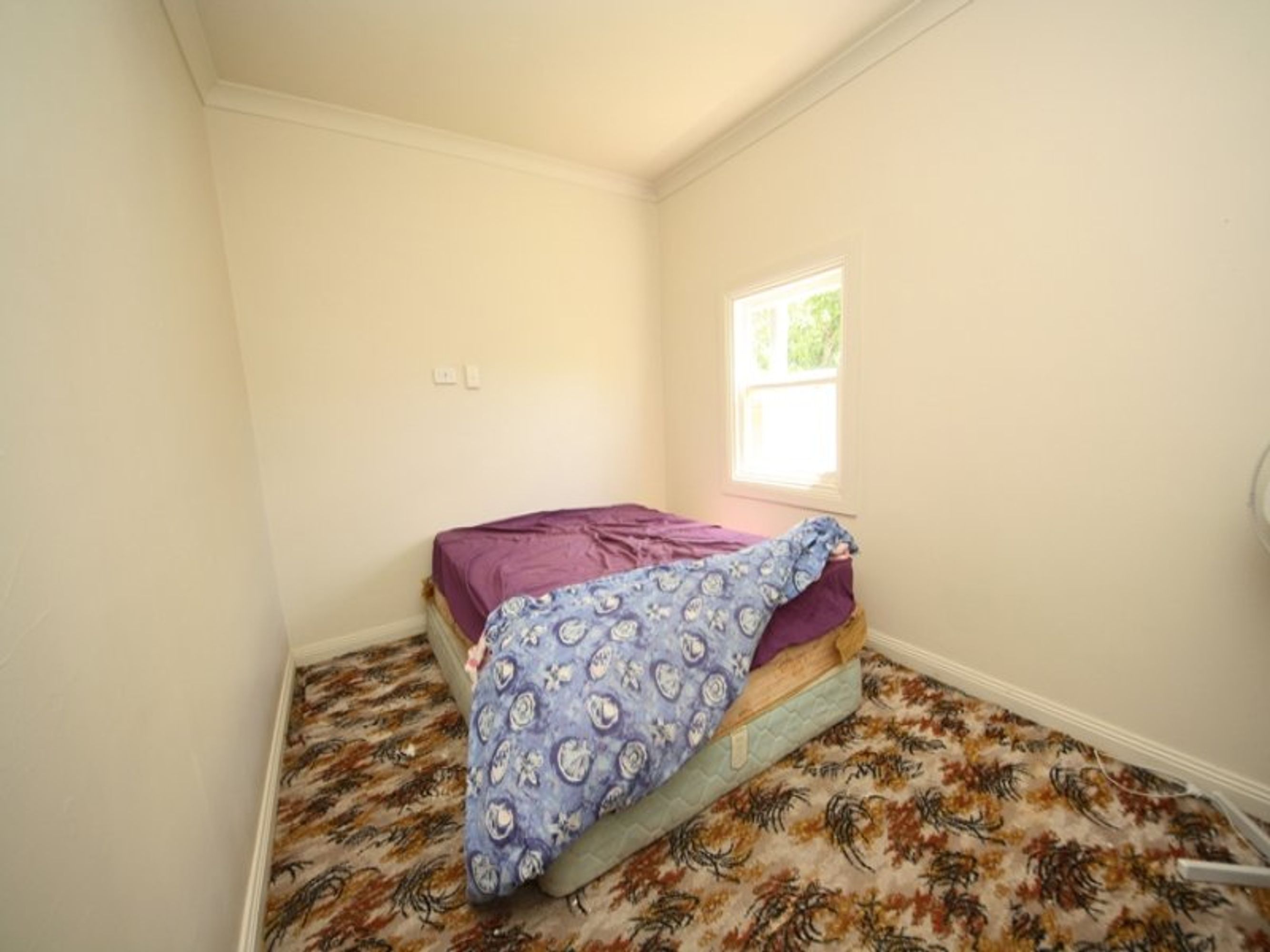 11 Anderson Street, Horsham VIC 3400, Horsham - Thumbnail 4